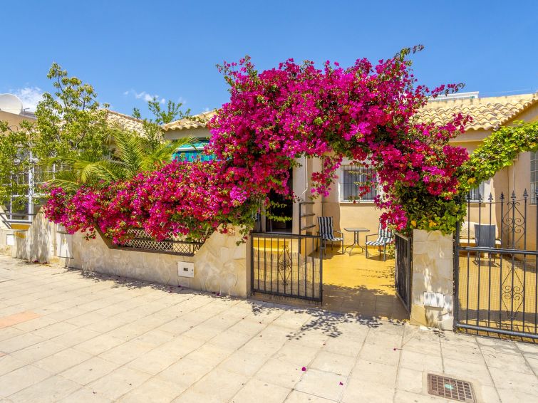 Ferienhaus in Orihuela Costa buchen Flores Bild-14