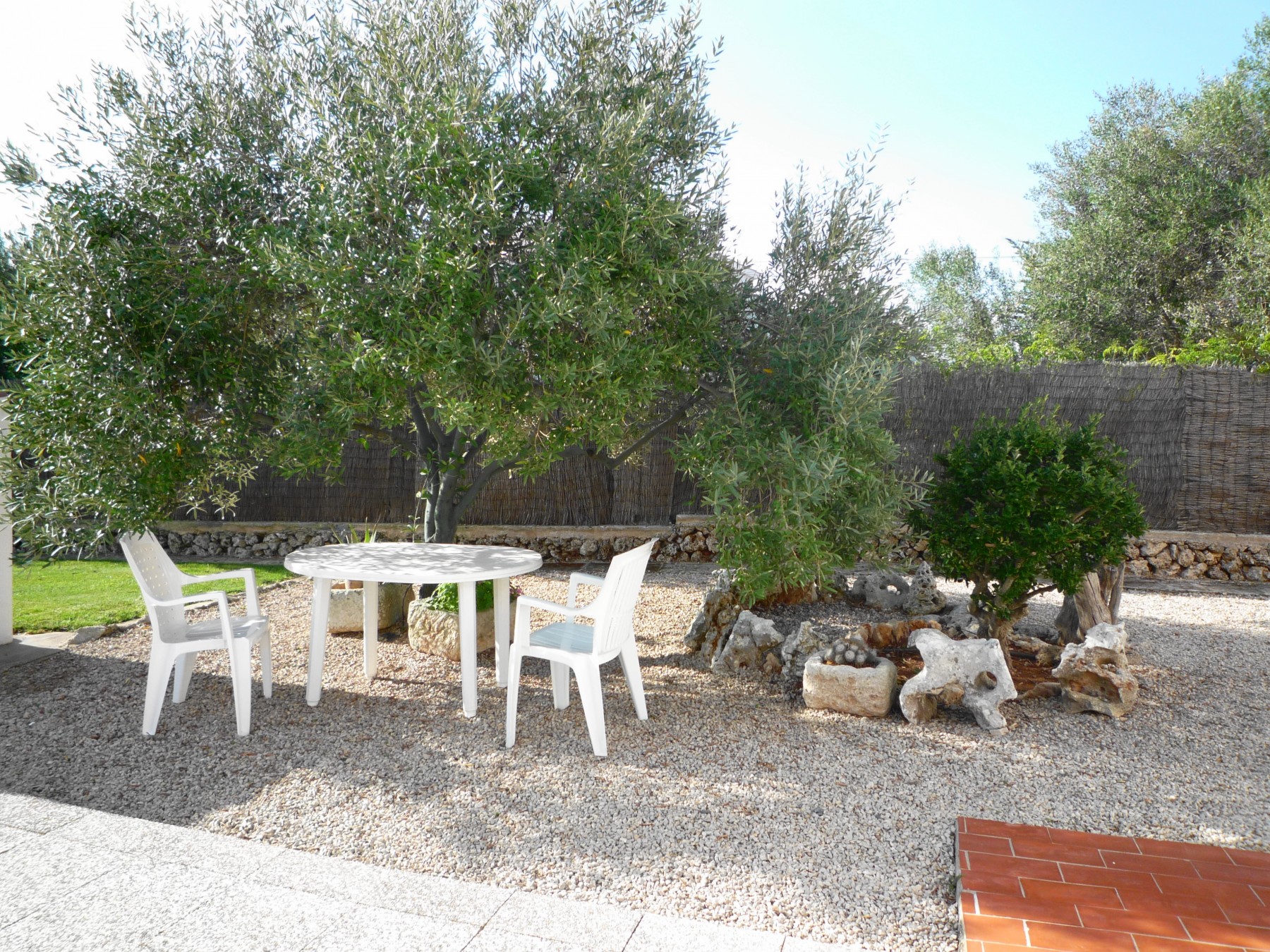 Rent Villa in Sant Climent Villa NEUS picture-6