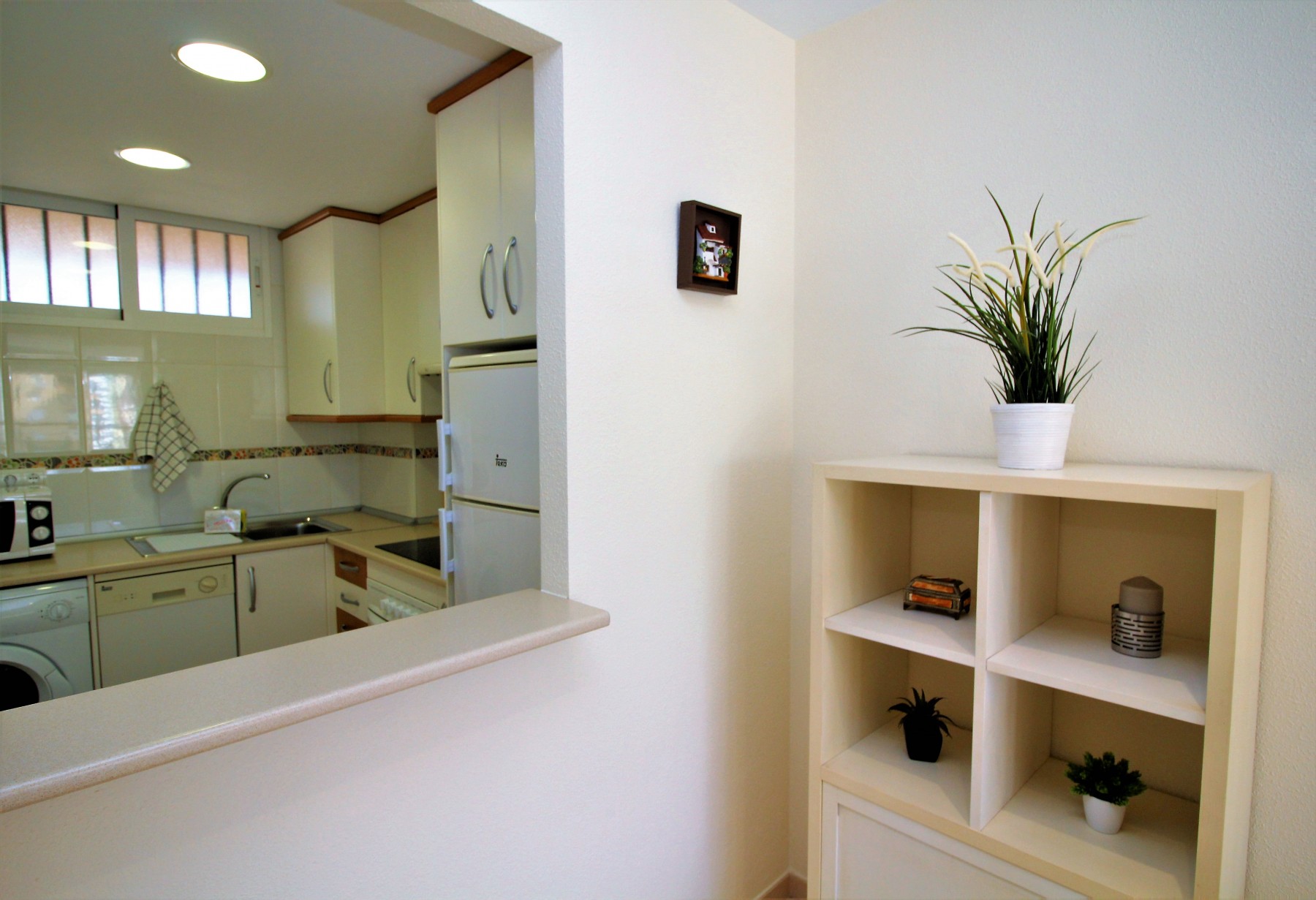 Rent Apartment in Benidorm Coblanca 3-10-5 picture-5