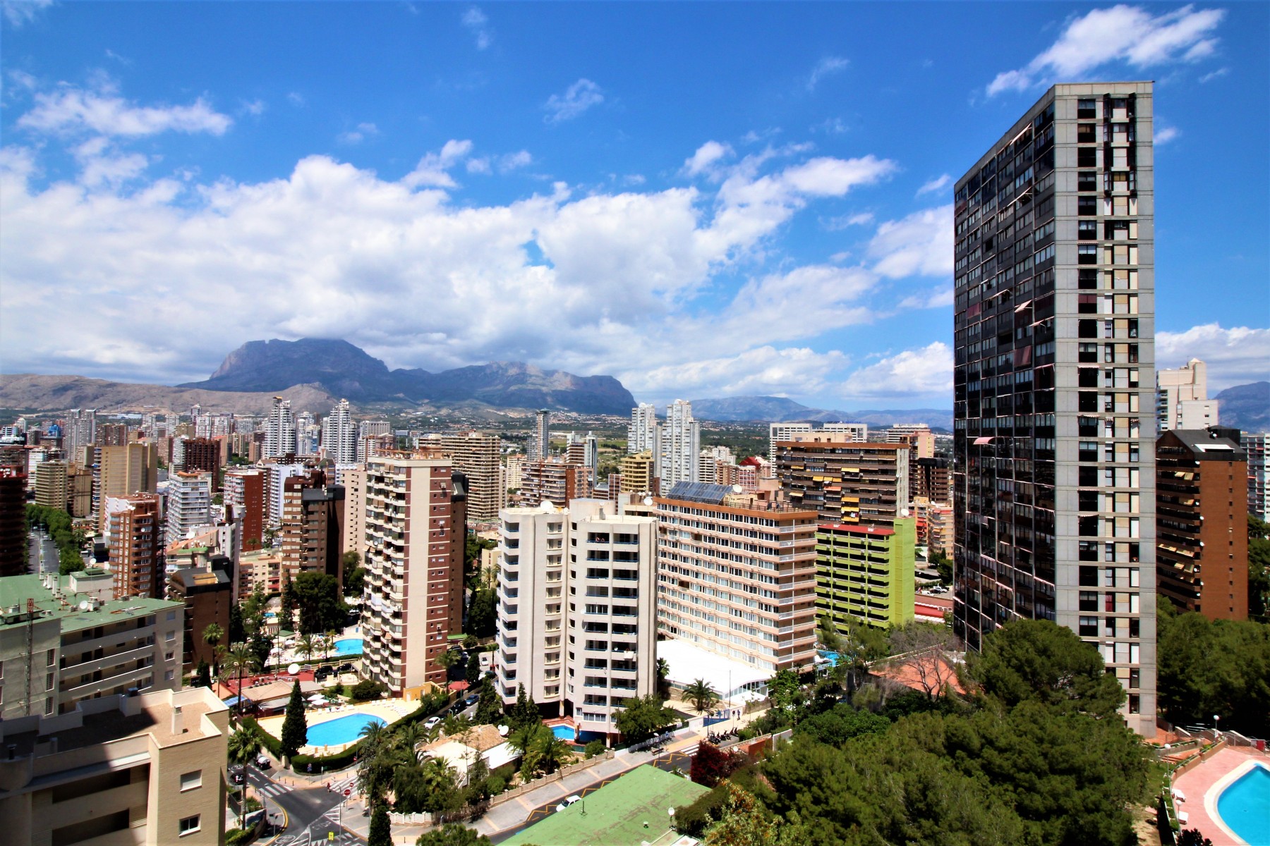 Rent Apartment in Benidorm Tower San Remo picture-4