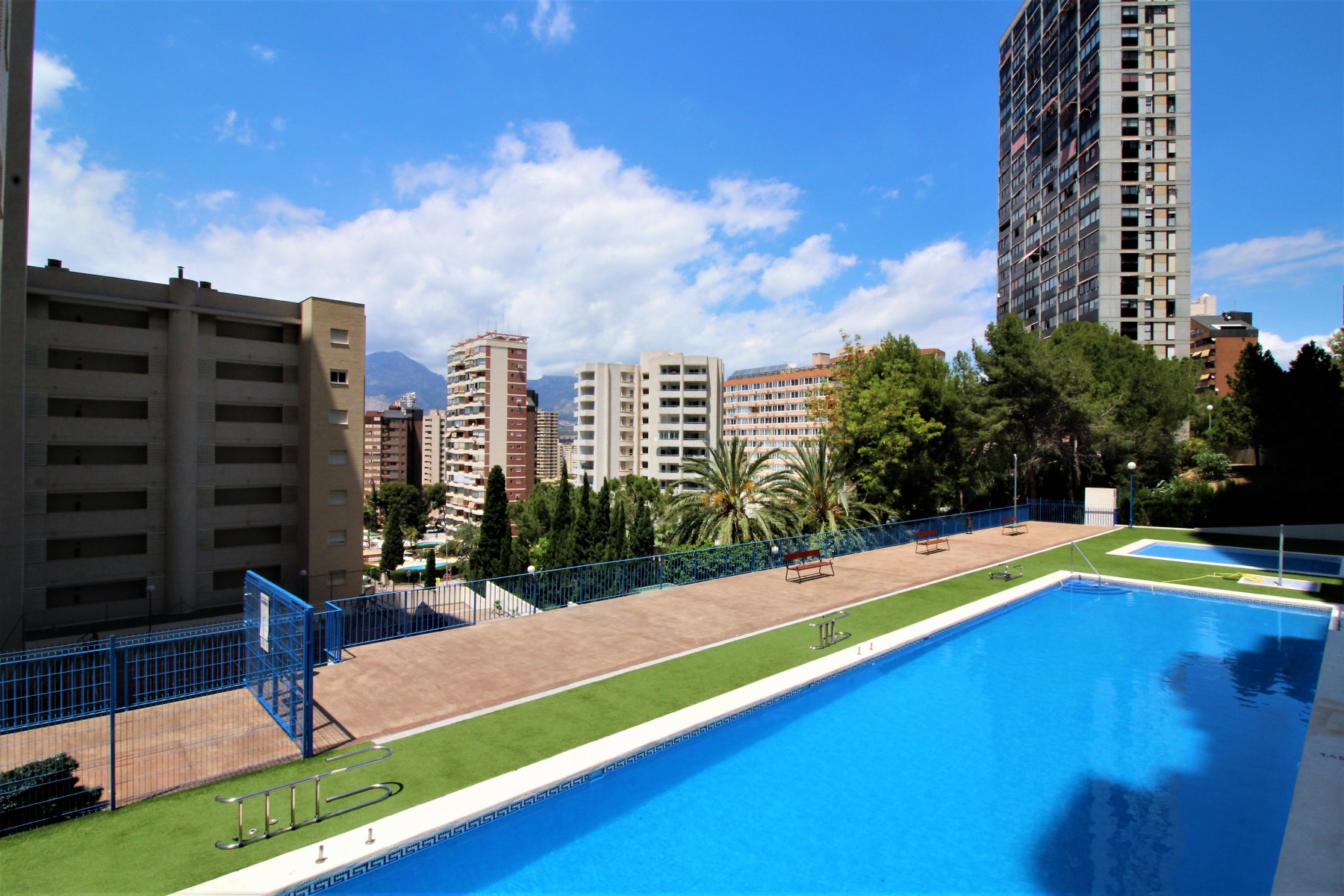 Rent Apartment in Benidorm Tower San Remo picture-0