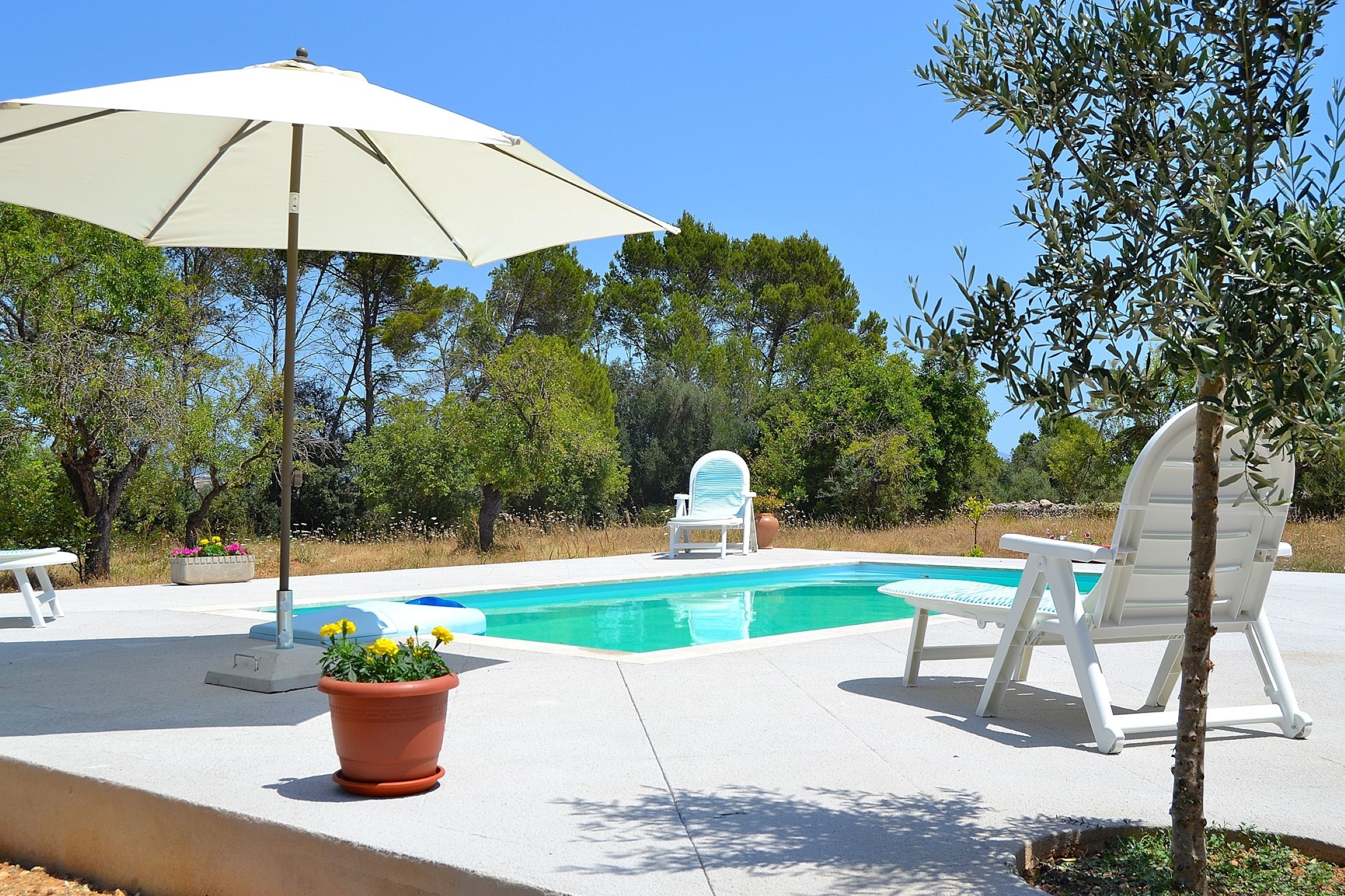 Rent Rural House in Llubí Finca Son Bernat 137 by Mallorca Charme picture-4