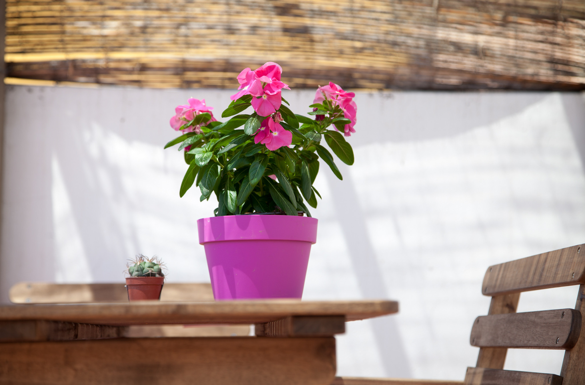 Ferienwohnung in Valencia buchen Torres Quart 5 terraza Bild-3