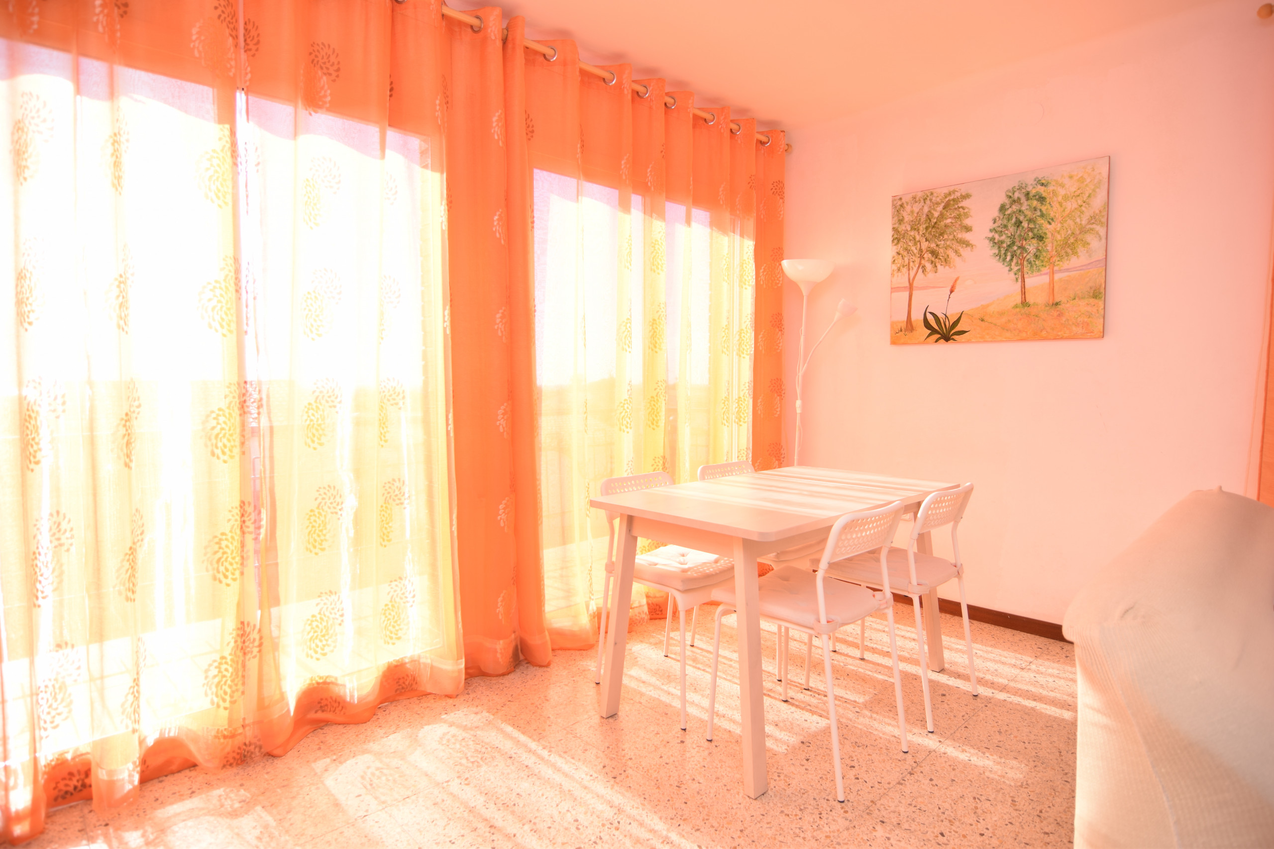 Alquilar Apartamento en Pineda de Mar HomeHolidaysRentals Millet- Costa Barcelona imagen-3