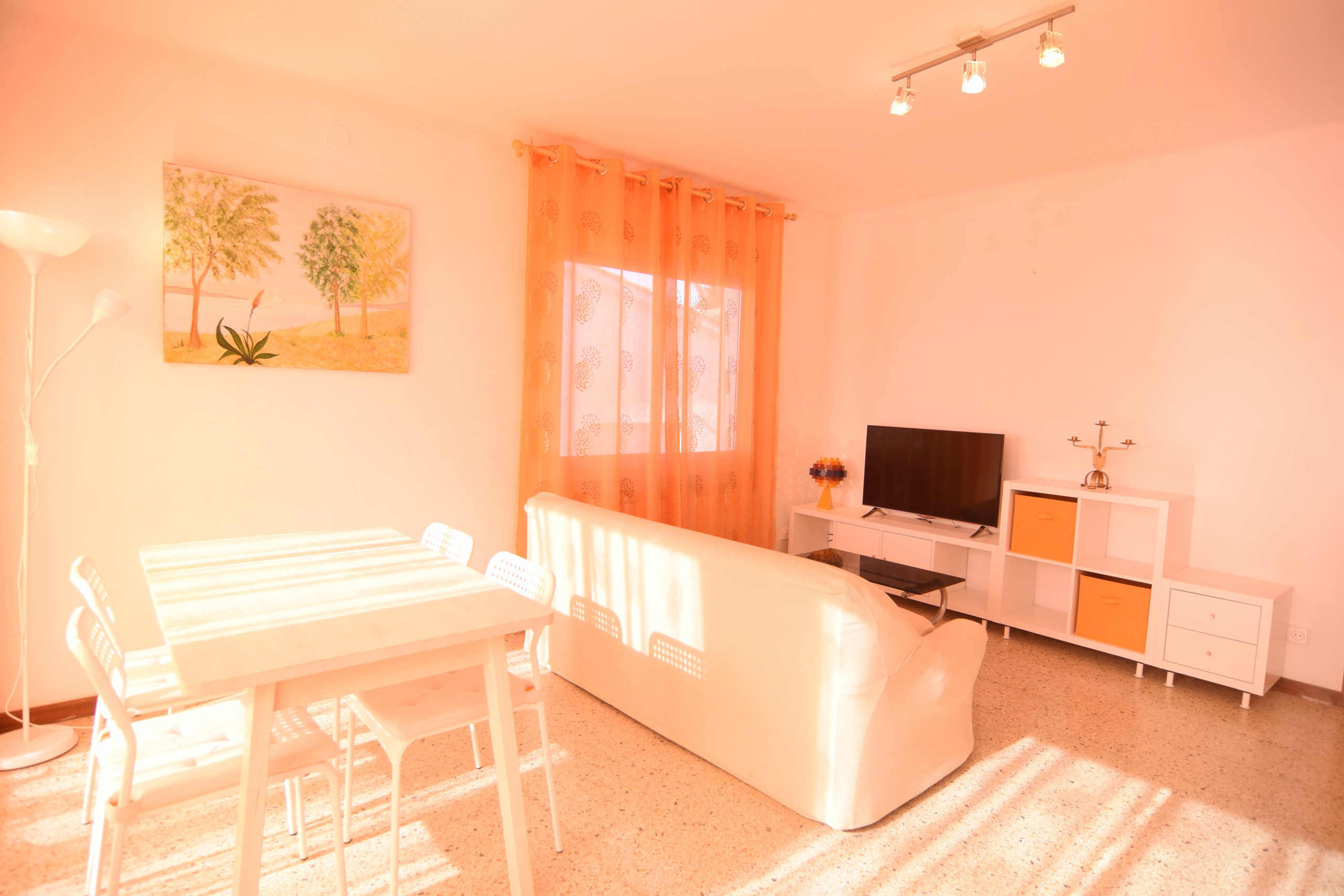 Location Appartement à Pineda de Mar HomeHolidaysRentals Millet- Costa Barcelona photo-3