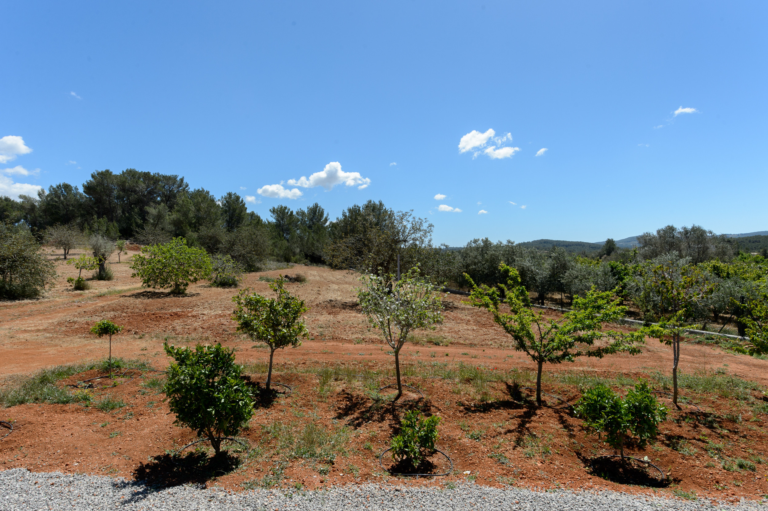 Villa in Santa Gertrudis de Fruitera buchen Can Vinyes, Villa 5StarsHome Ibiza Bild-27