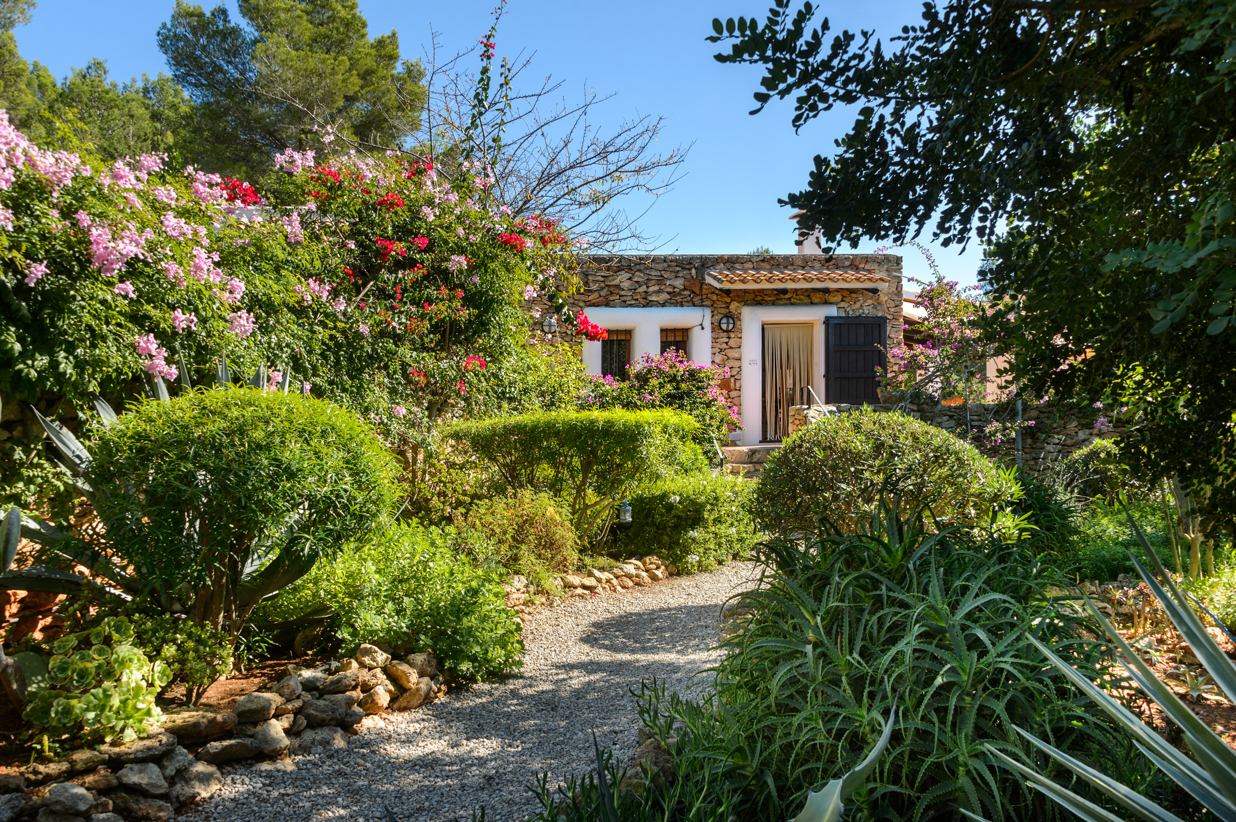 Landhaus in San Carlos de la Rápita buchen Can Patri, Finca 5StarsHome Ibiza Bild-9