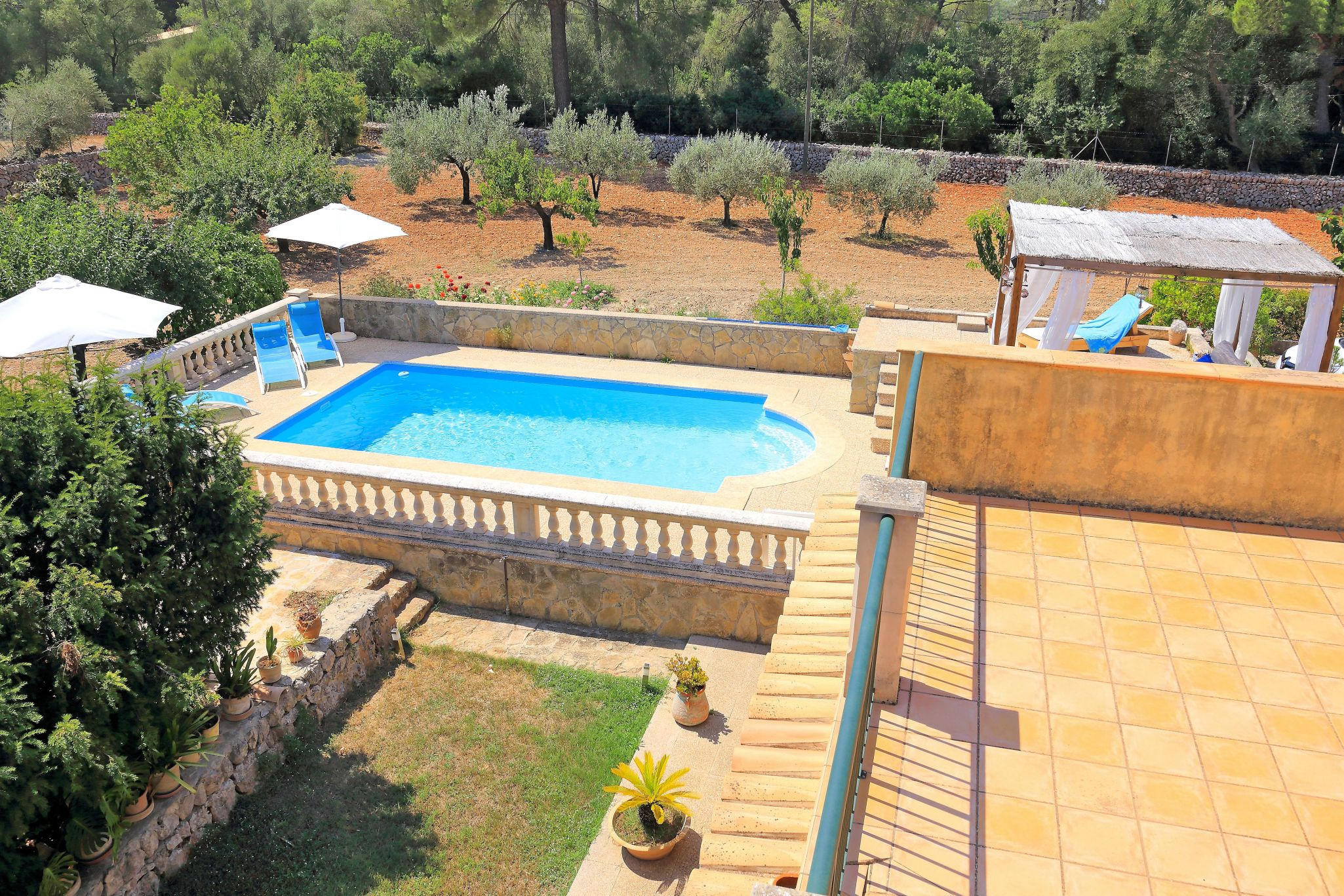 Rent Rural House in Sinéu Finca Son Rossinyol 128 by Mallorca Charme picture-26