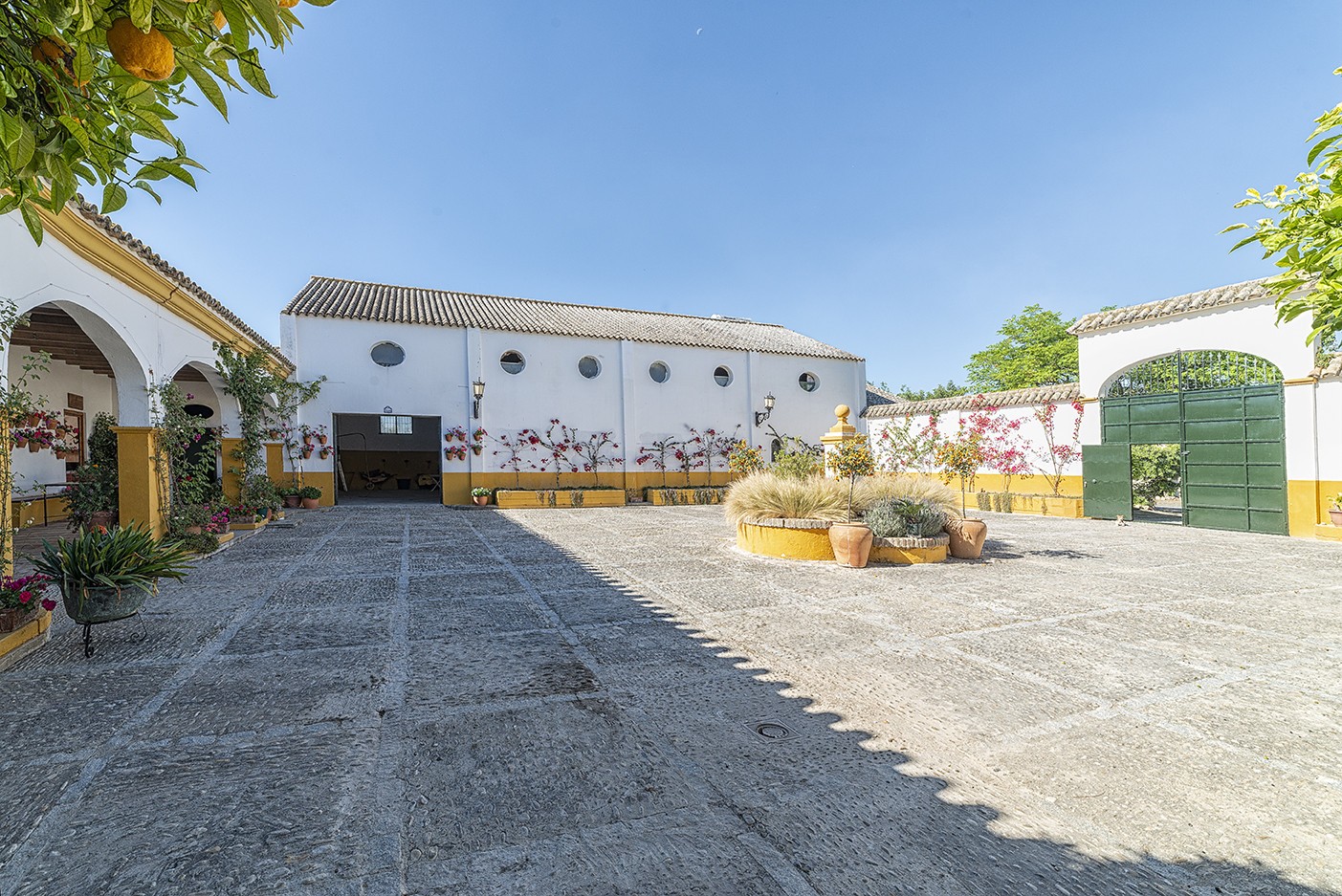 Alquilar Casa rural en Arcos de la frontera Cortijo Sierra y Lago imagen-14