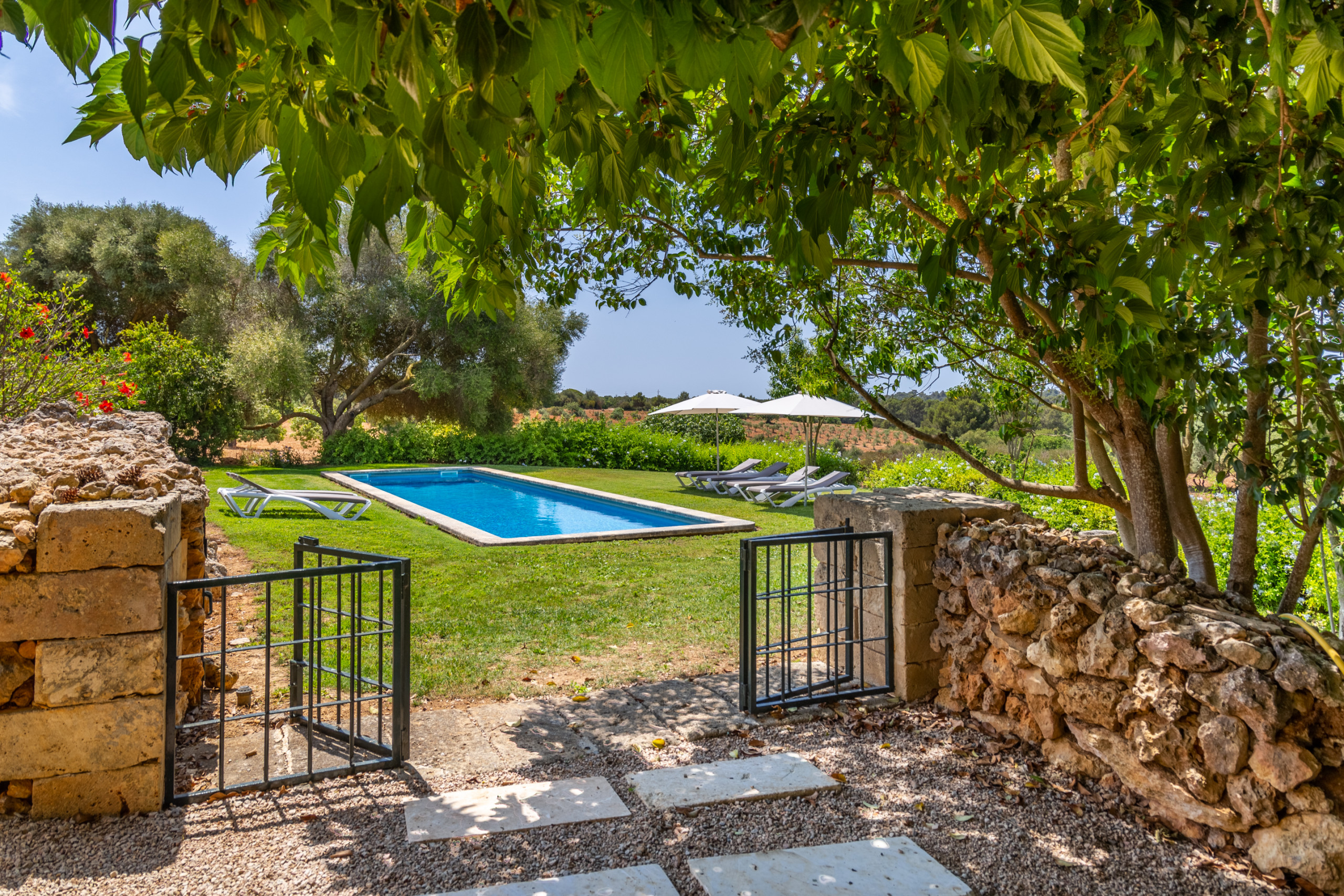 Rent Rural House in Manacor Ses Cases Son Blat, Finca 5StarsHome Mallorca picture-3