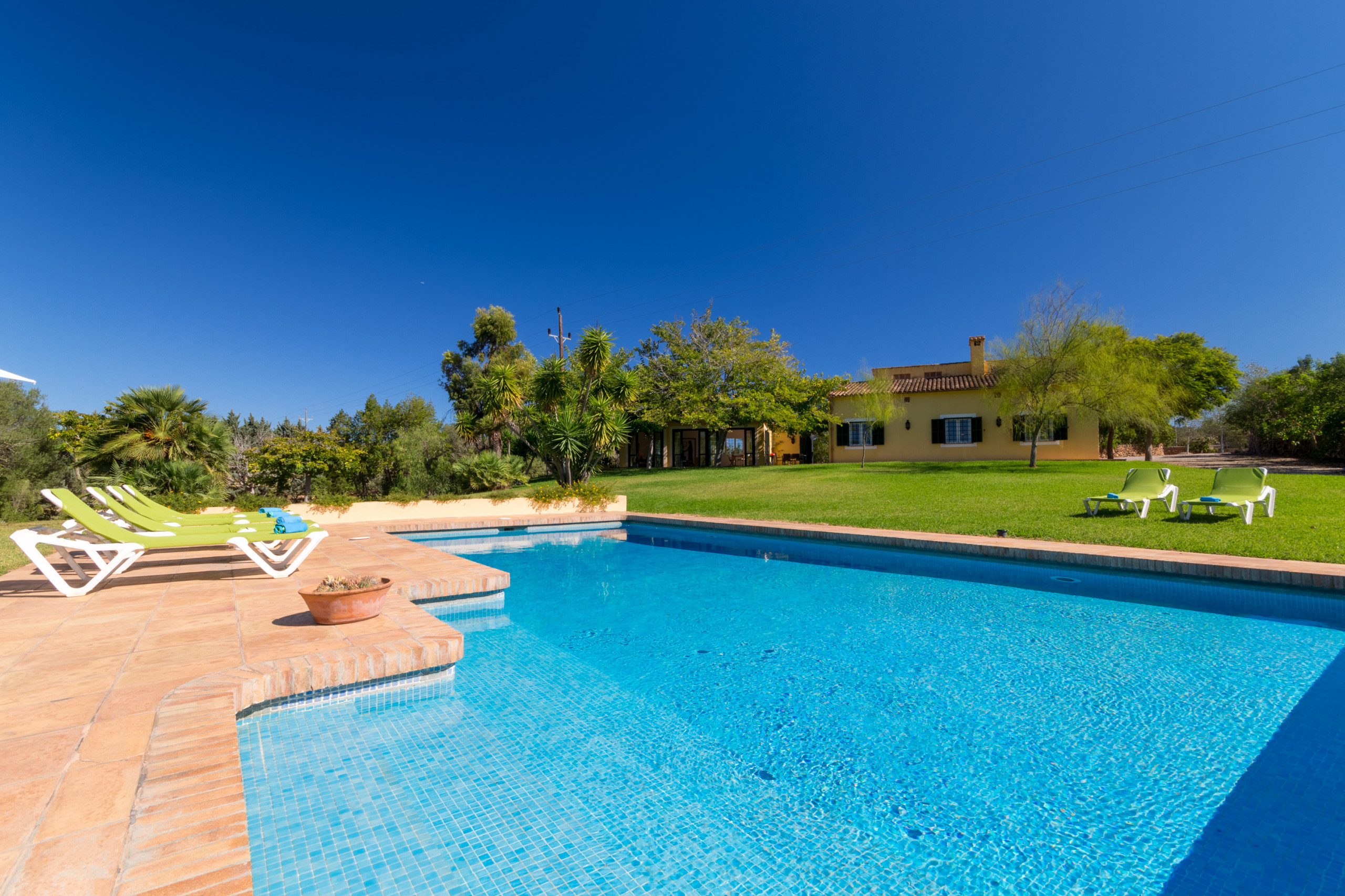 Landhaus in Manacor buchen Sestador Blat, Finca 5StarsHome Mallorca Bild-0