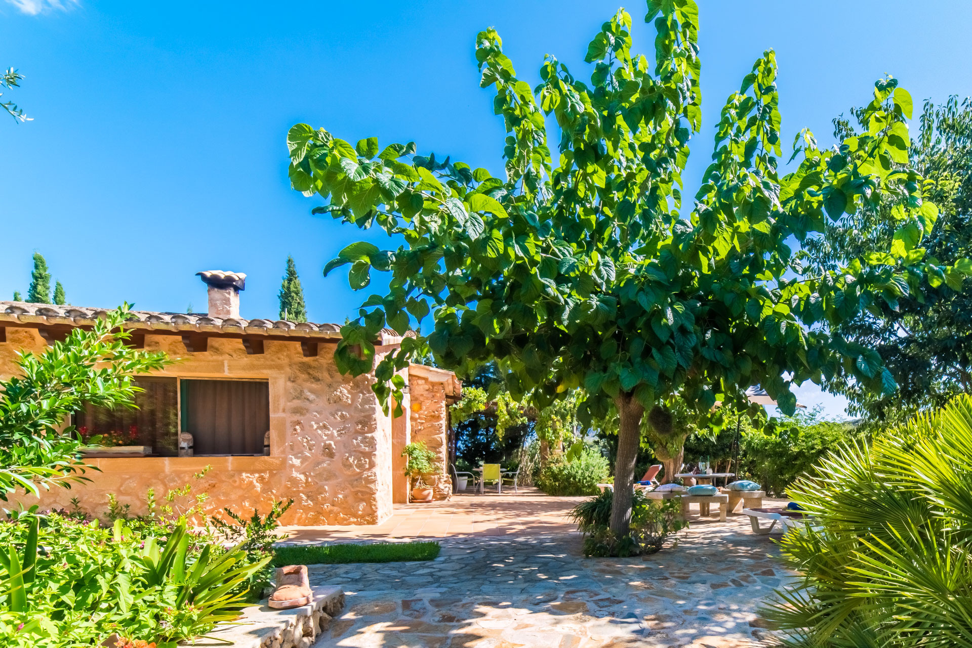 Landhaus in Capdepera buchen Finca Na Babayana Bild-25