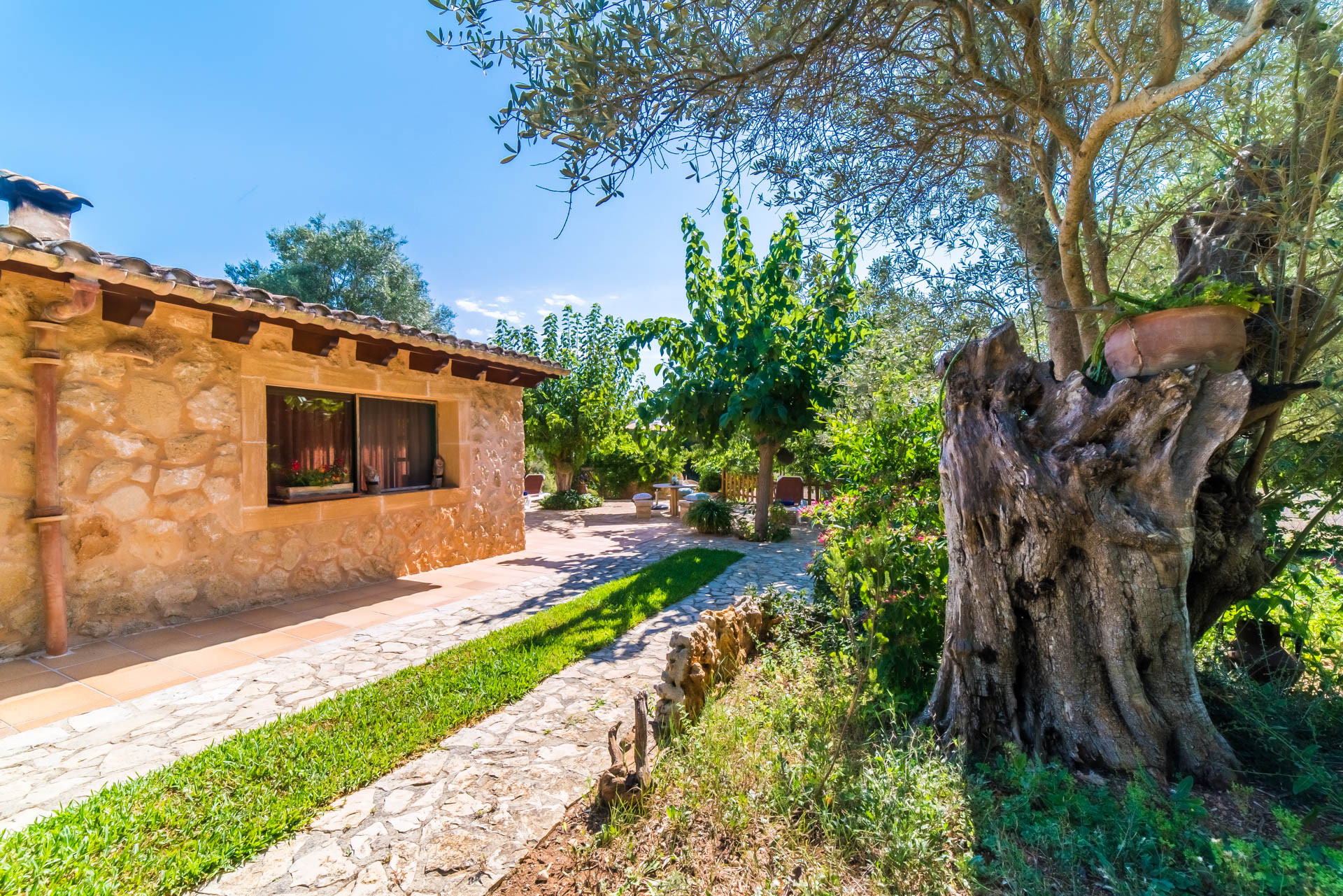 Rent Rural House in Capdepera Finca Na Babayana picture-24