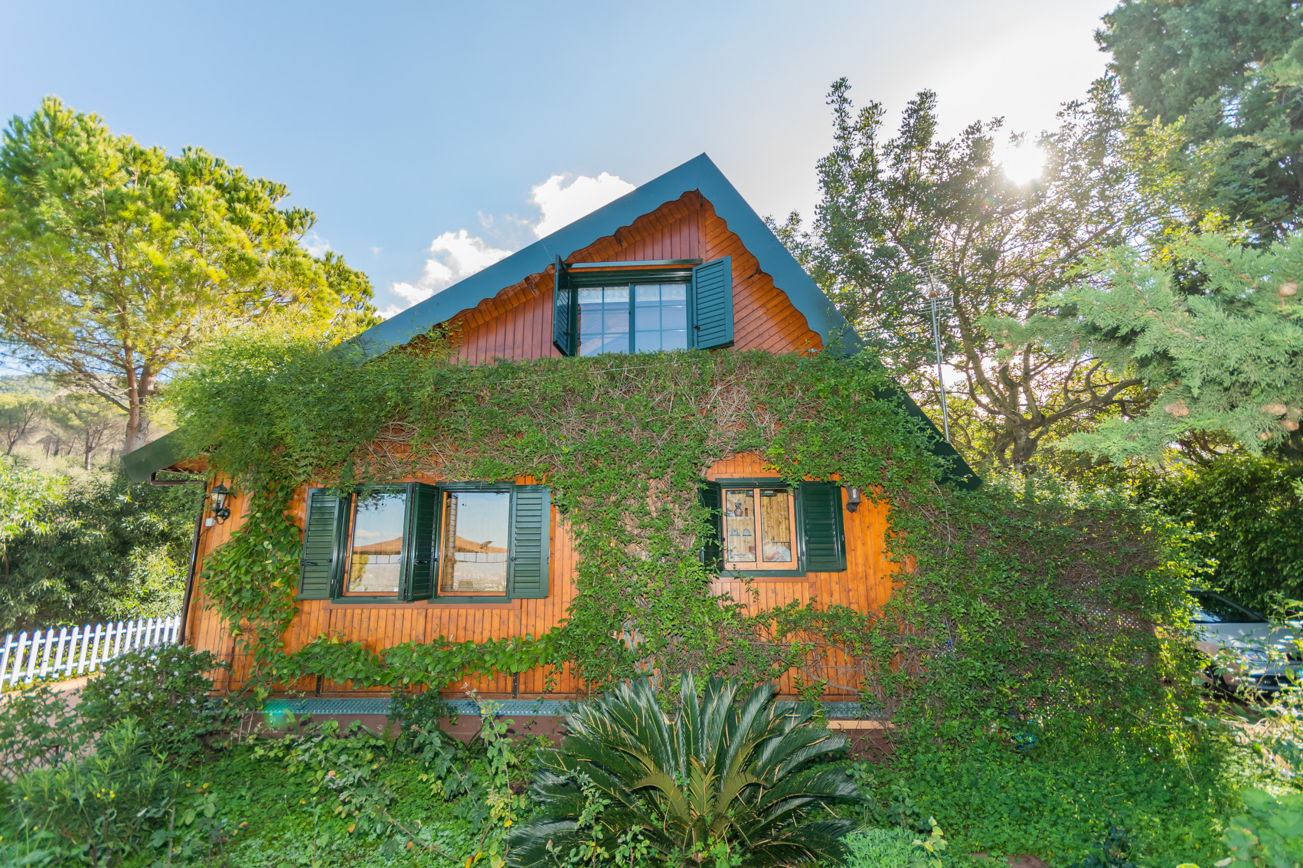 Ferienhaus in Alhaurín el Grande buchen Cubo's Finca La Biznaga Bild-1