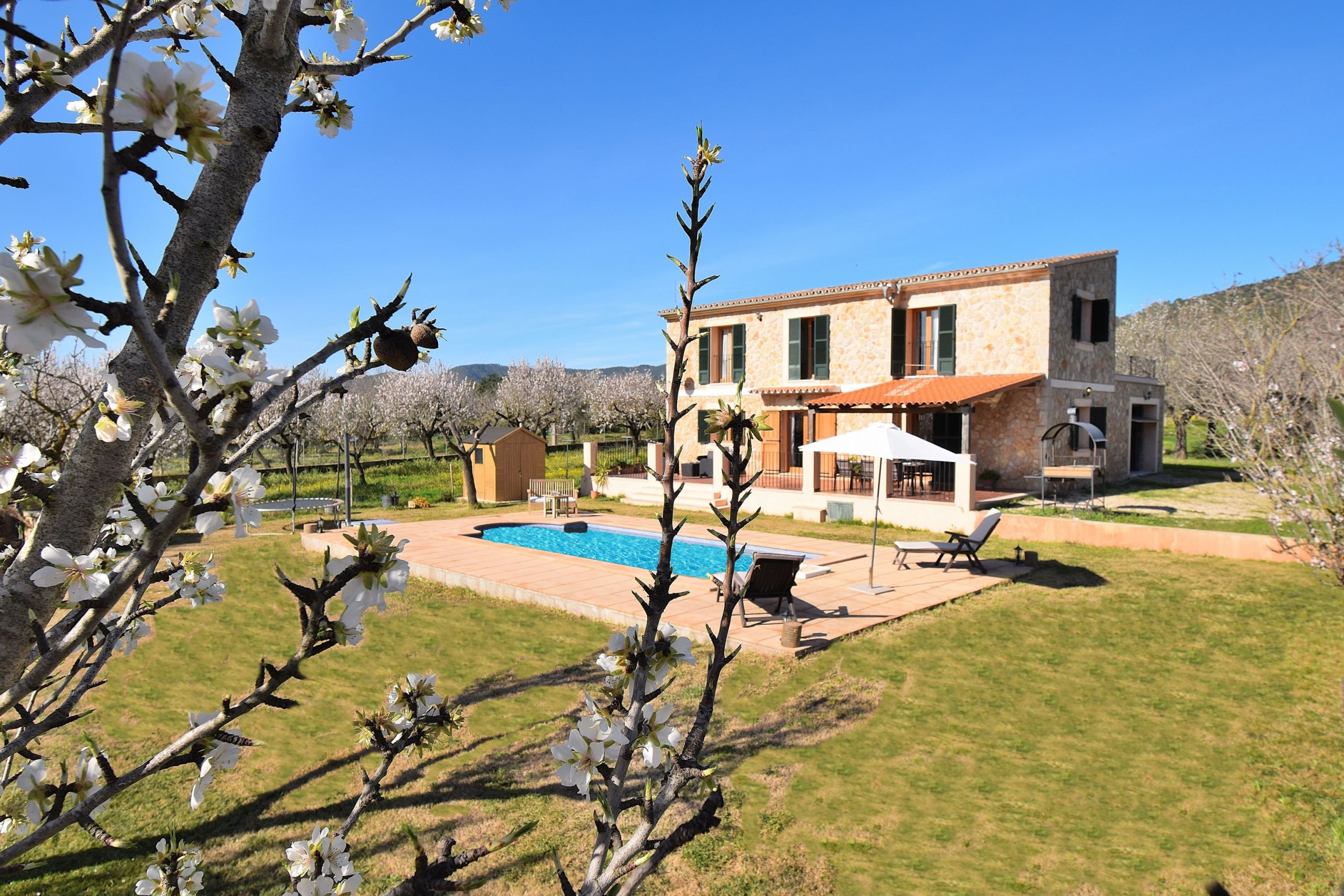 Landhaus in Binissalem buchen Finca Sa Vinyeta 504 by Mallorca Charme Bild-0