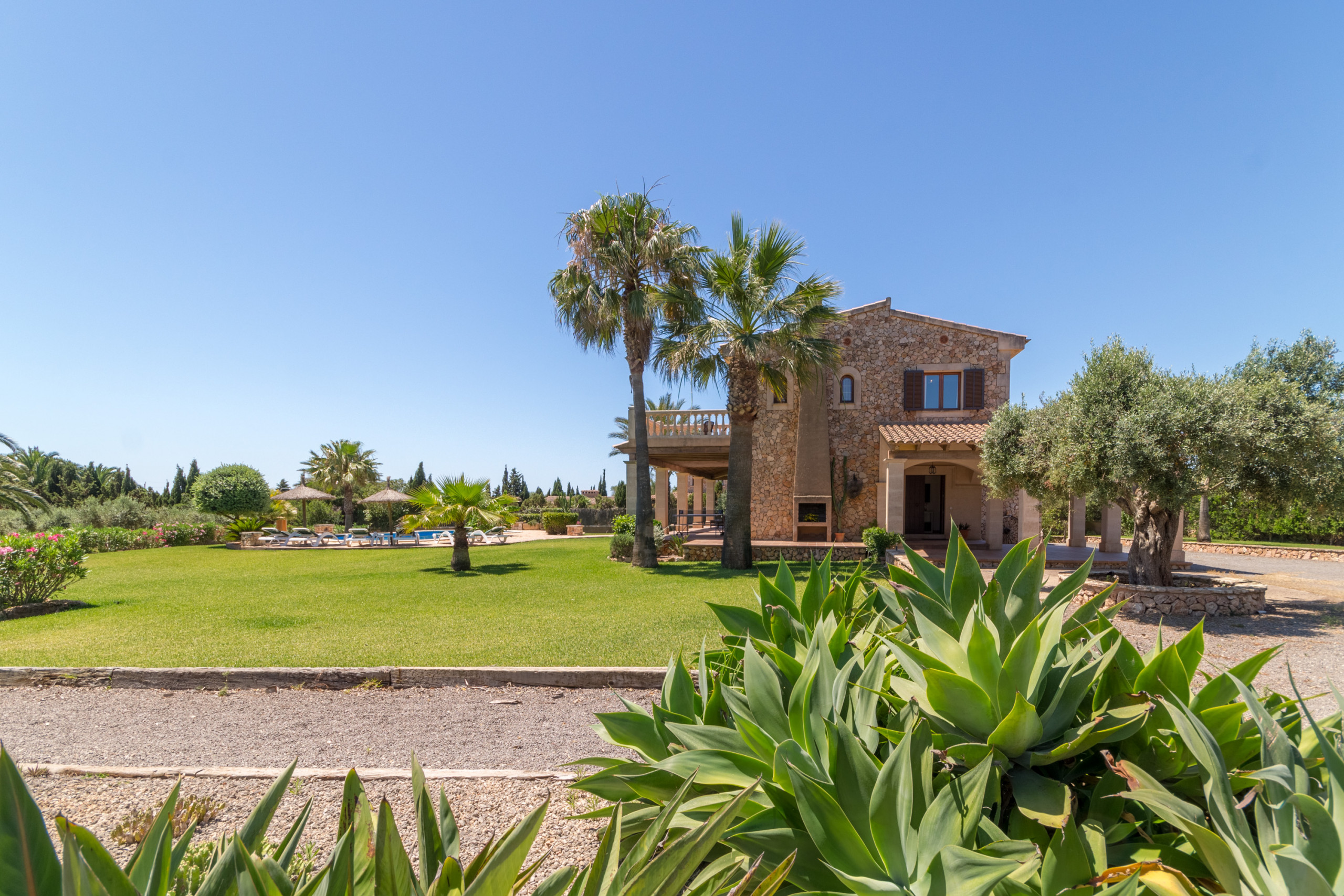 Rent Villa in Felanitx S'hort d'Or, Finca 5StarsHome Mallorca picture-3