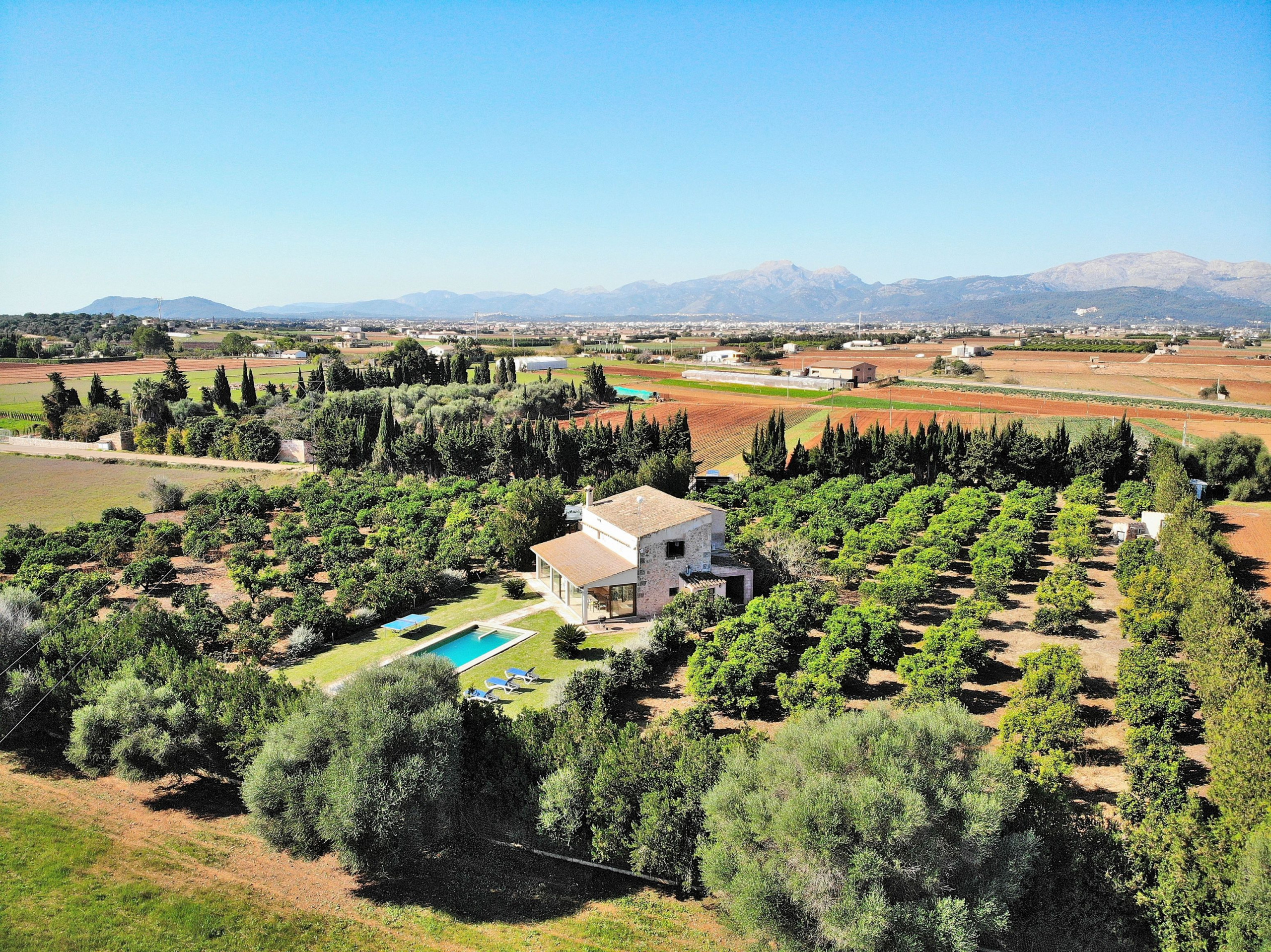 Rent Rural House in Can Picafort Finca Son Morey Tarongers 108 by Mallorca Charme picture-5