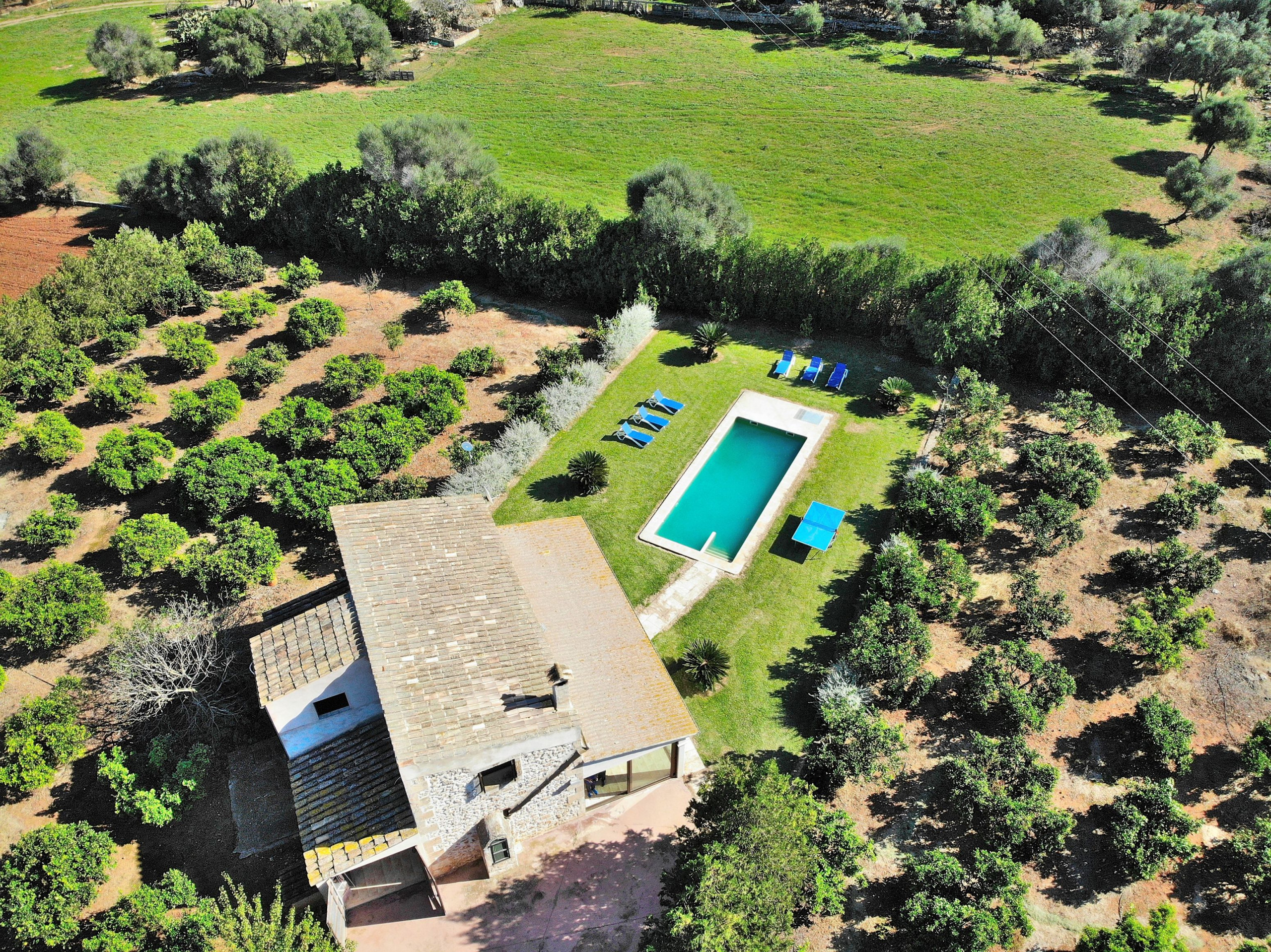 Landhaus in Can Picafort buchen Finca Son Morey Tarongers 108 by Mallorca Charme Bild-23