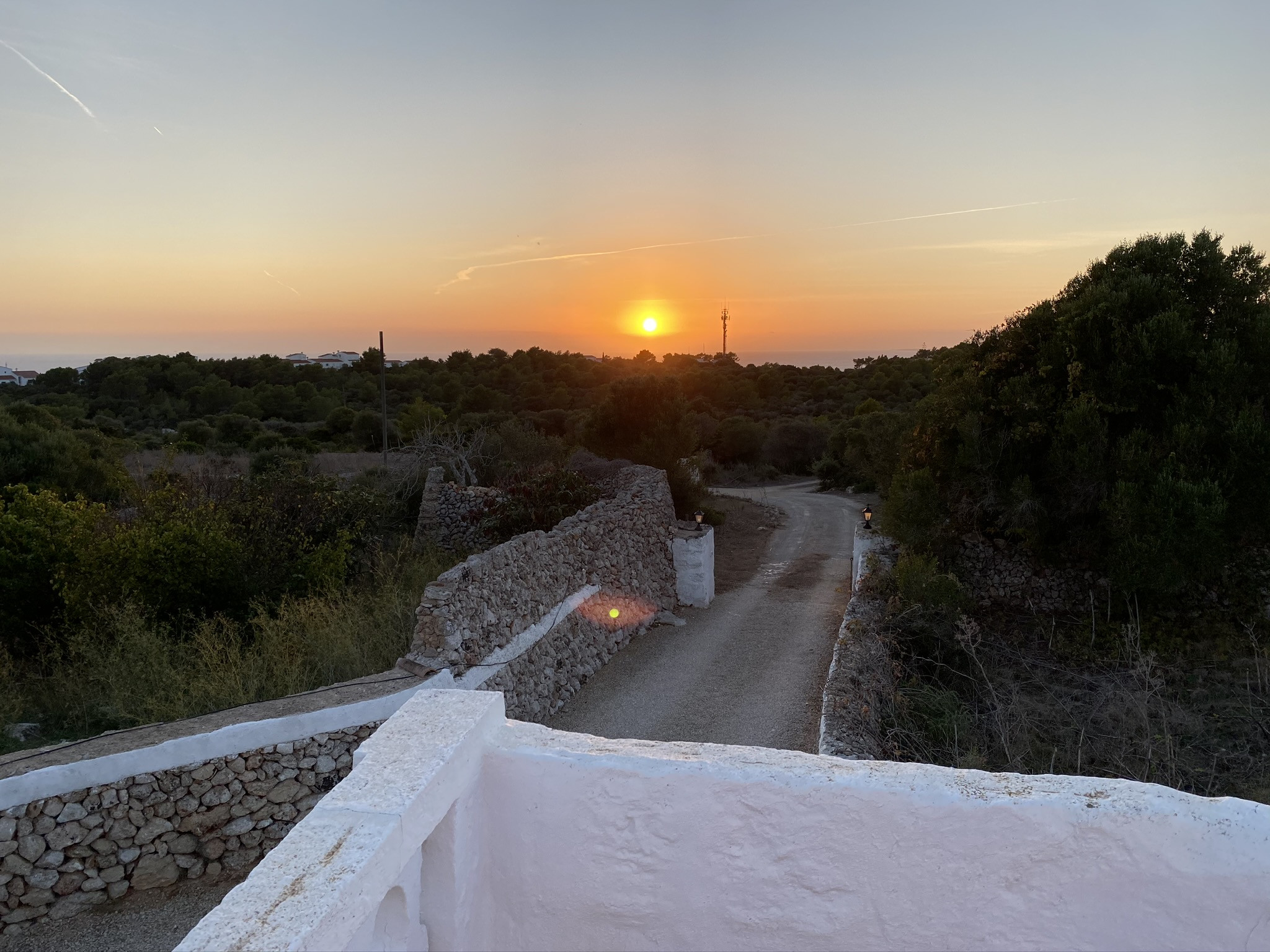 Rent Rural House in Son Bou Finca SANT JAUME picture-39