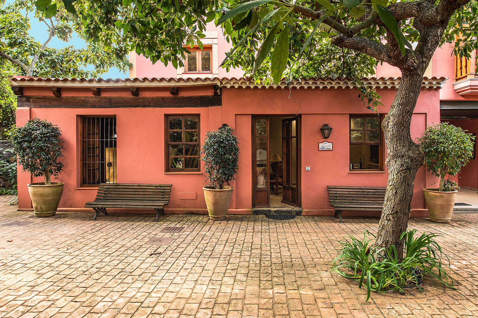 Ferienwohnung in Tacoronte buchen NORTE CASA LAUREL - LA LAVANDA Bild-4