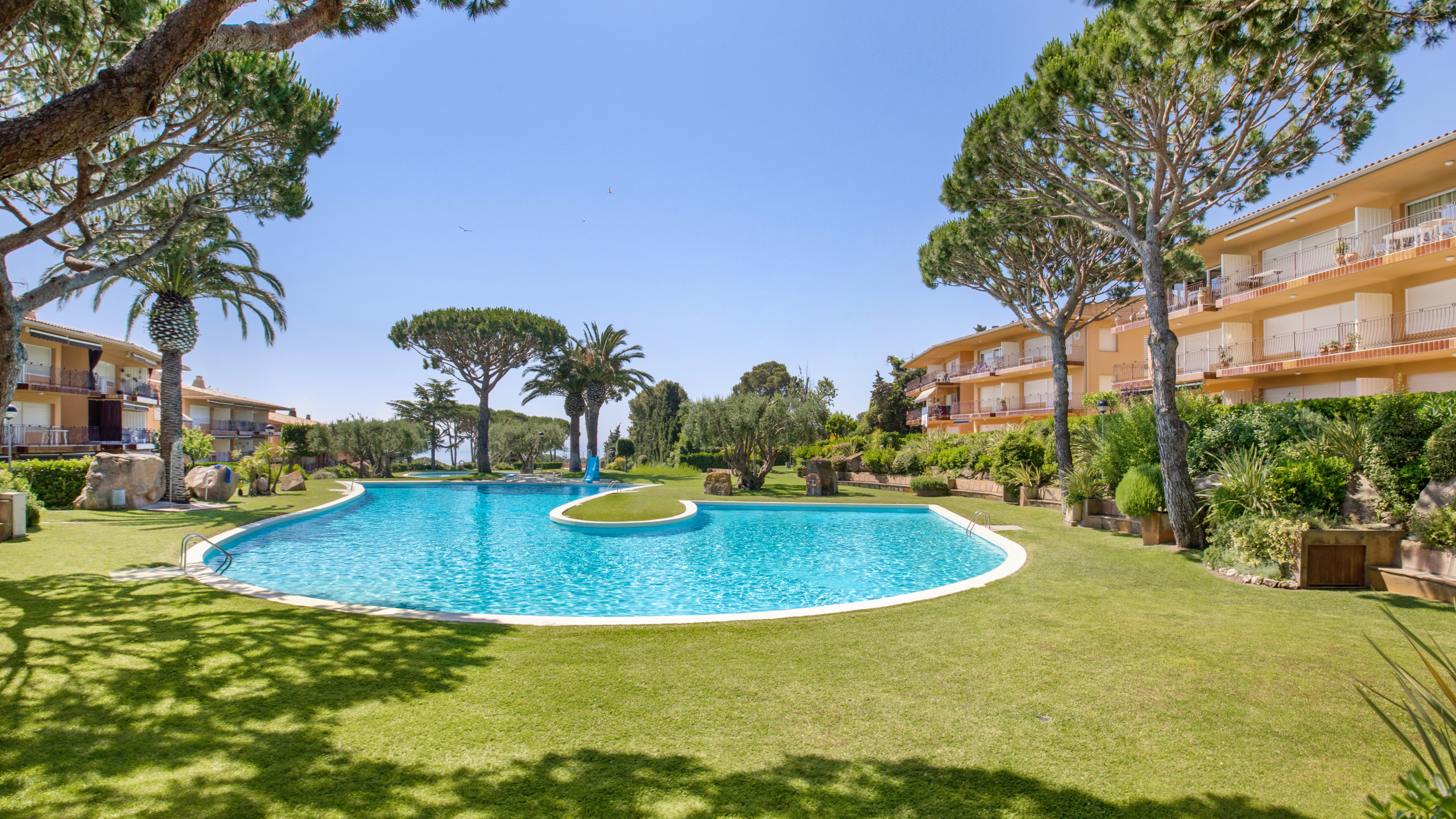 Rent Apartment in Calella de Palafrugell Illa 23 picture-3