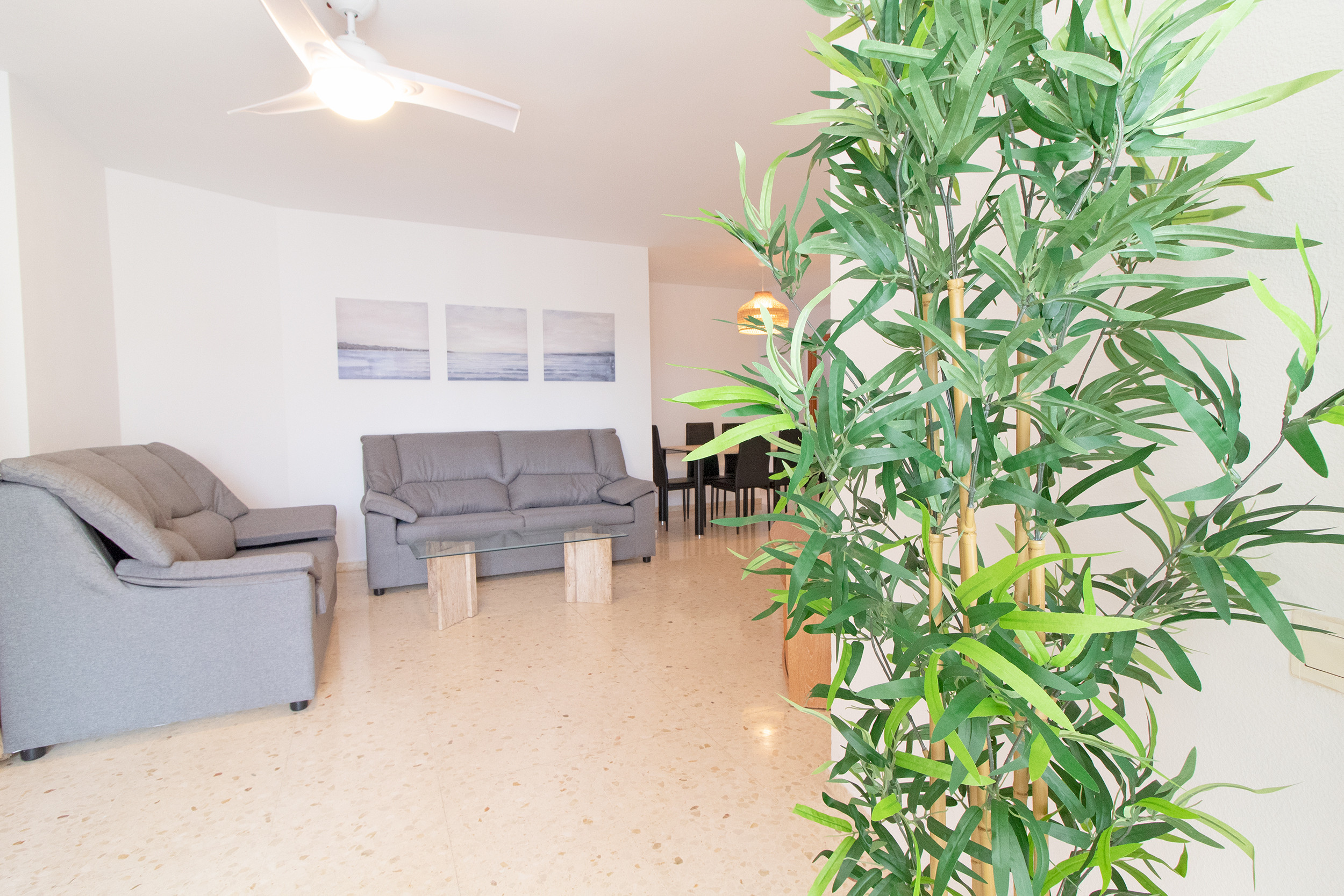 Alquilar Apartamento en  Apt. Last Canet 1, (F) imagen-3