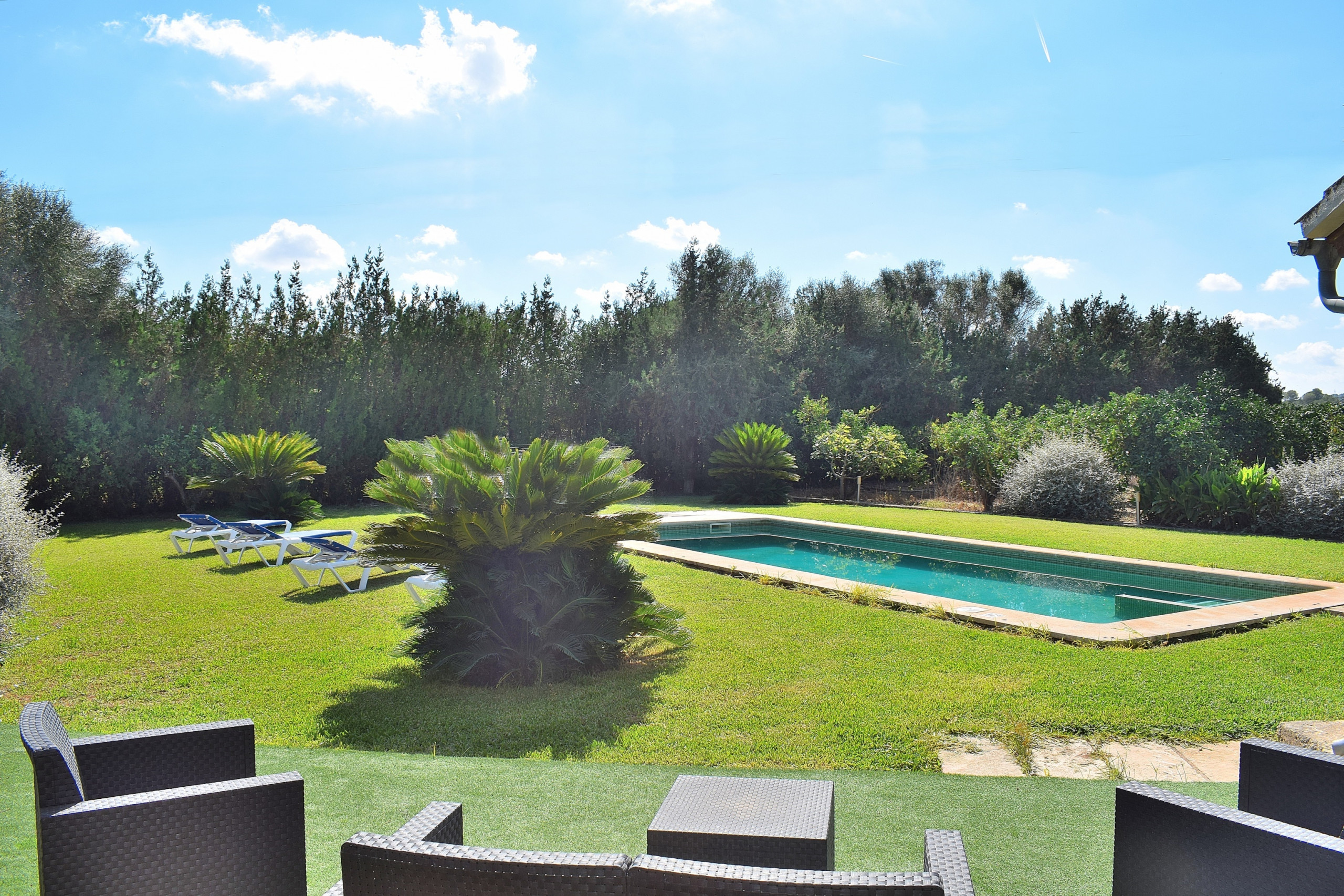 Rent Rural House in Can Picafort Finca Son Morey Tarongers 108 by Mallorca Charme picture-3