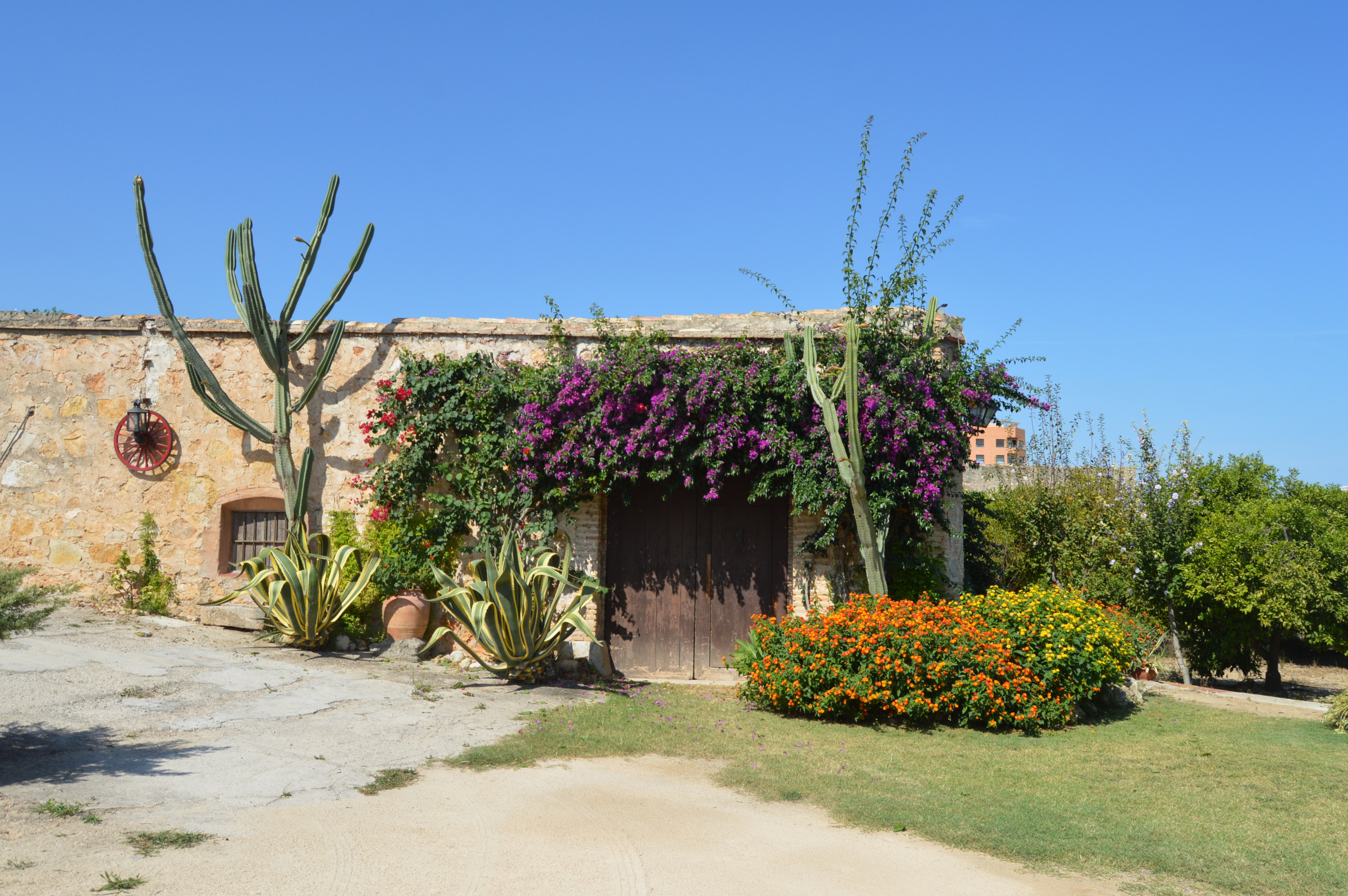 Rent Rural House in La Oliva CH752 picture-9