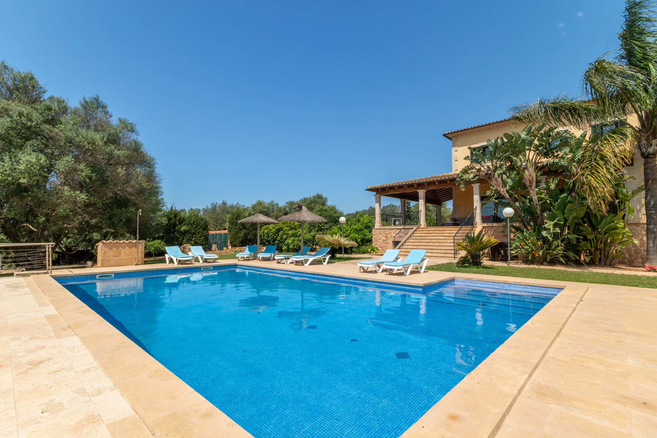 Rent Rural House in Ses Salines Canvu, Finca 5StarsHome Mallorca picture-0