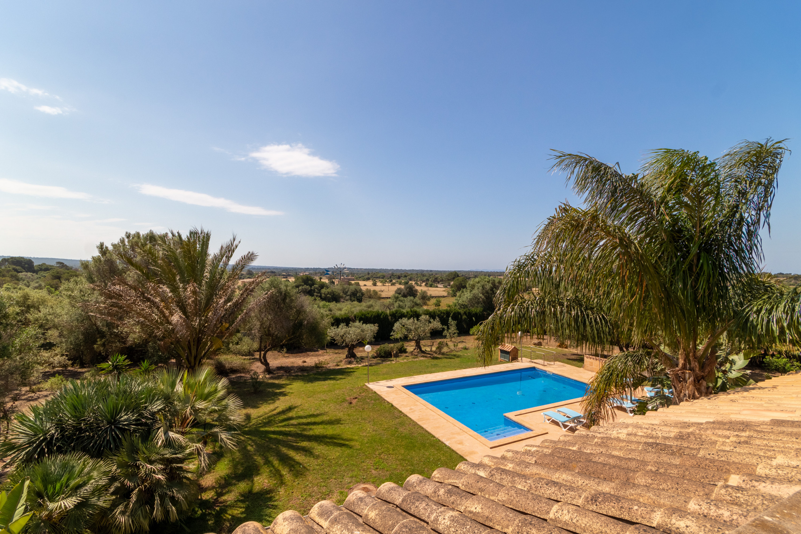 Rent Rural House in Ses Salines Canvu, Finca 5StarsHome Mallorca picture-39