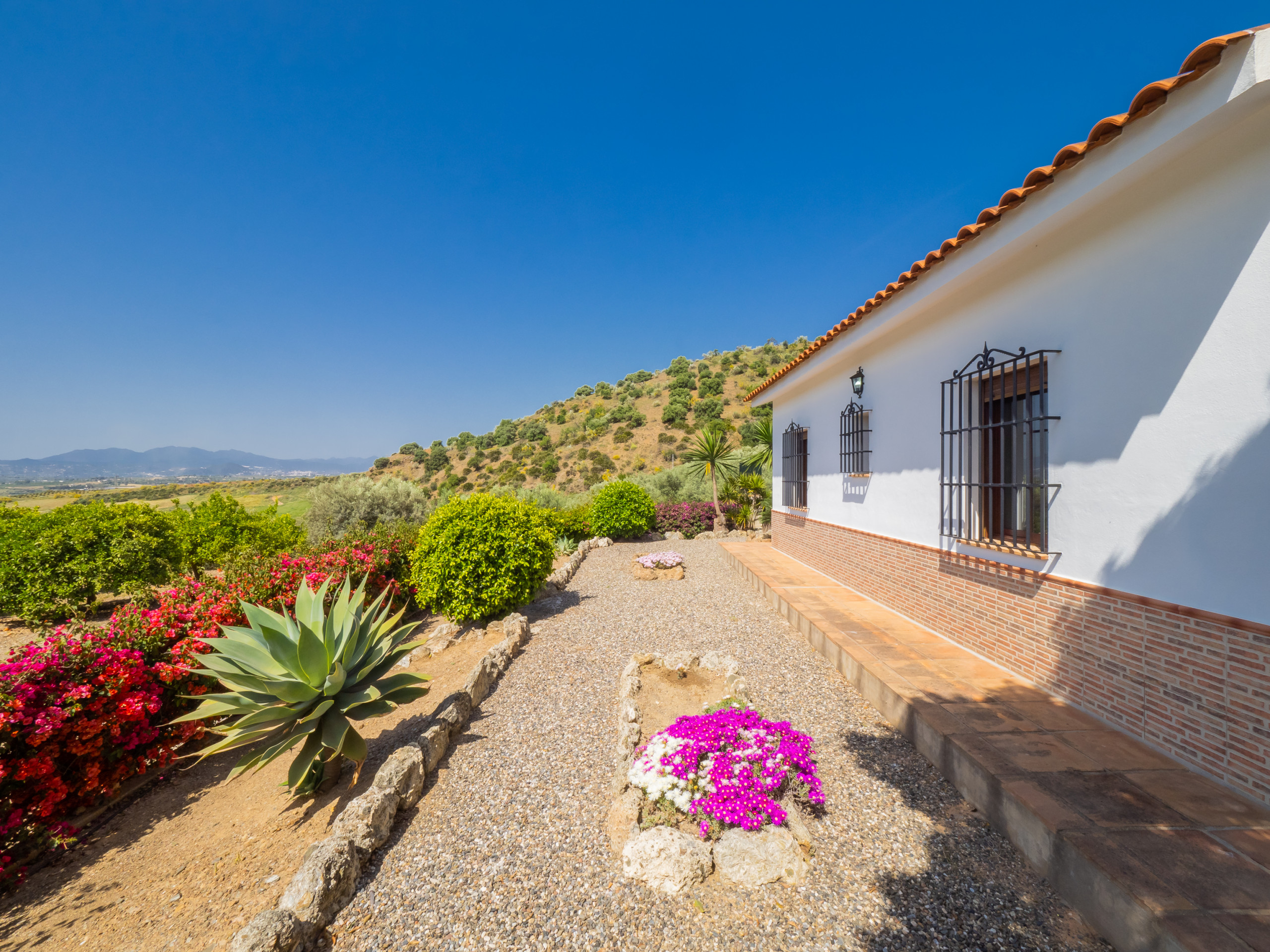 Landhaus in Estación de Cártama buchen Cubo’s Finca La Higuera de La Estacion Bild-8