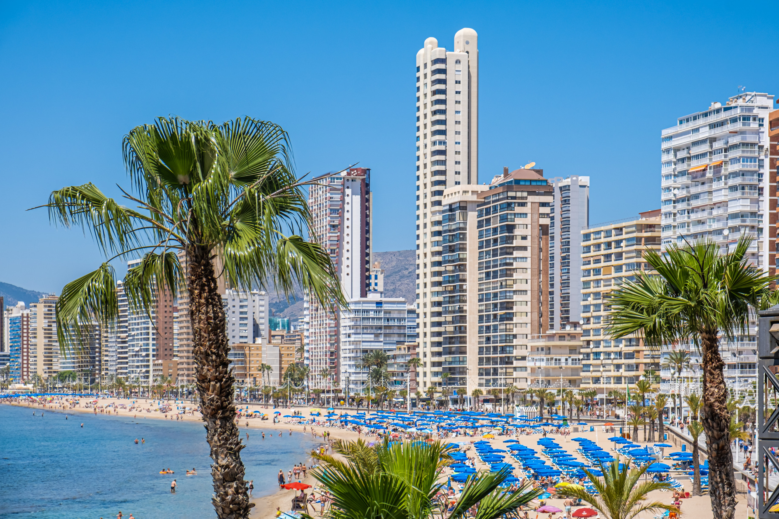 Ferienwohnung in Benidorm buchen Don Miguel 2-A Bild-6