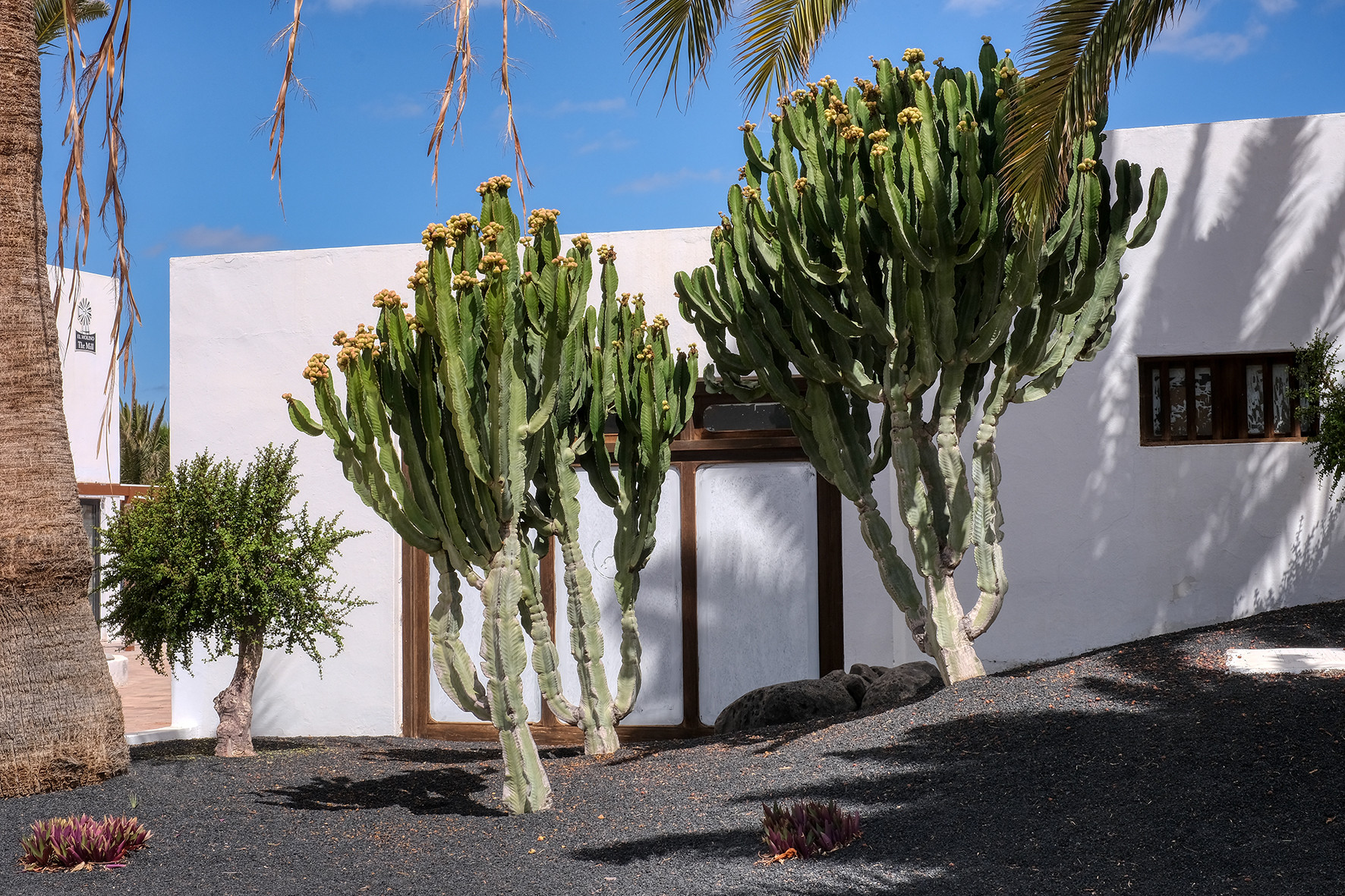 Ferienhaus in Costa Teguise buchen Los Molinos Bild-19