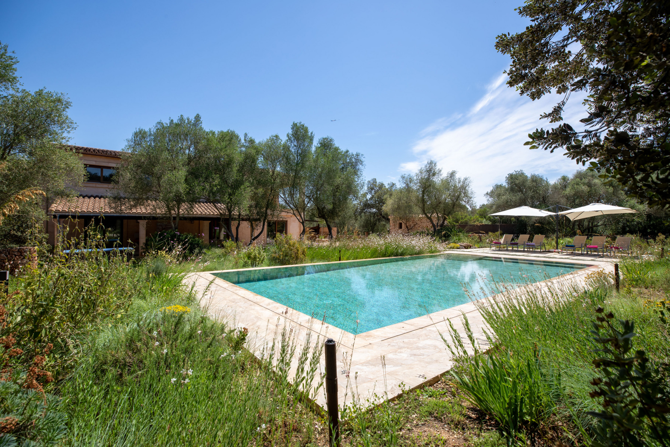 Rent Rural House in Costitx Camadix, Finca 5StarsHome Mallorca picture-36