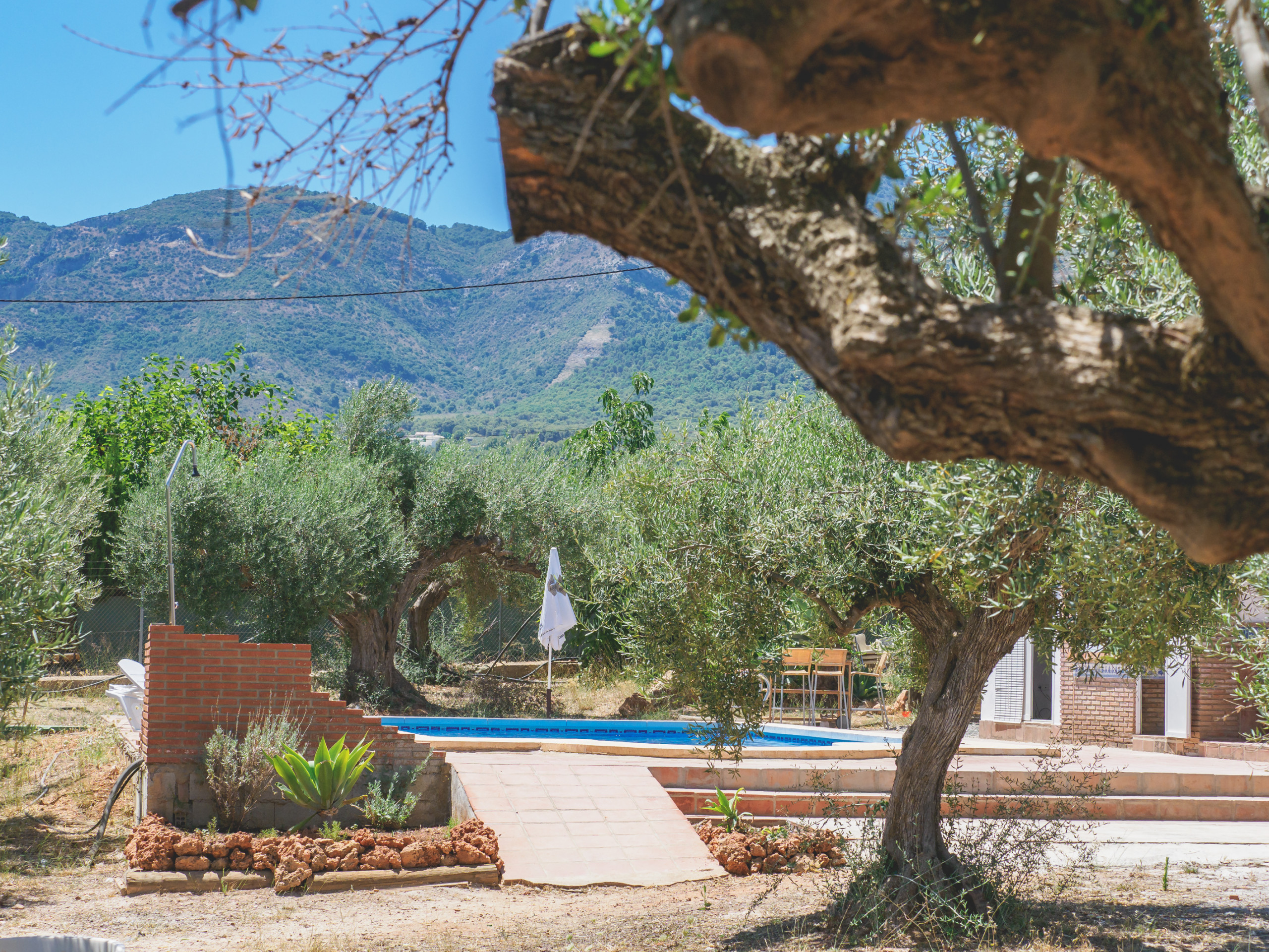 Ferienhaus in Alhaurín el Grande buchen Cubo's Finca Sanchez Aranda Bild-3