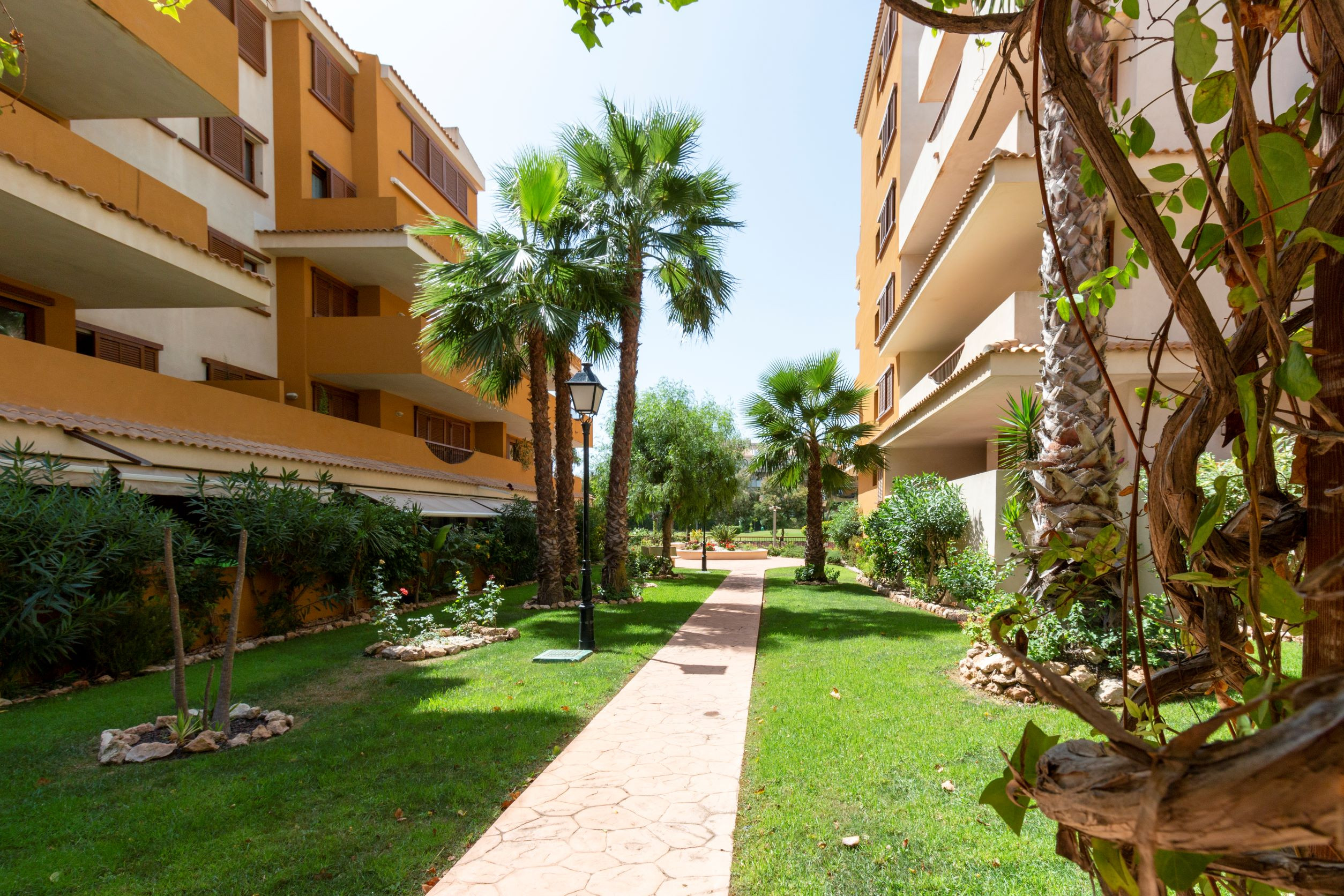 Alquilar Apartamento en Torrevieja 222 Lovely 3  Pools Home - Alicante Holiday imagen-5