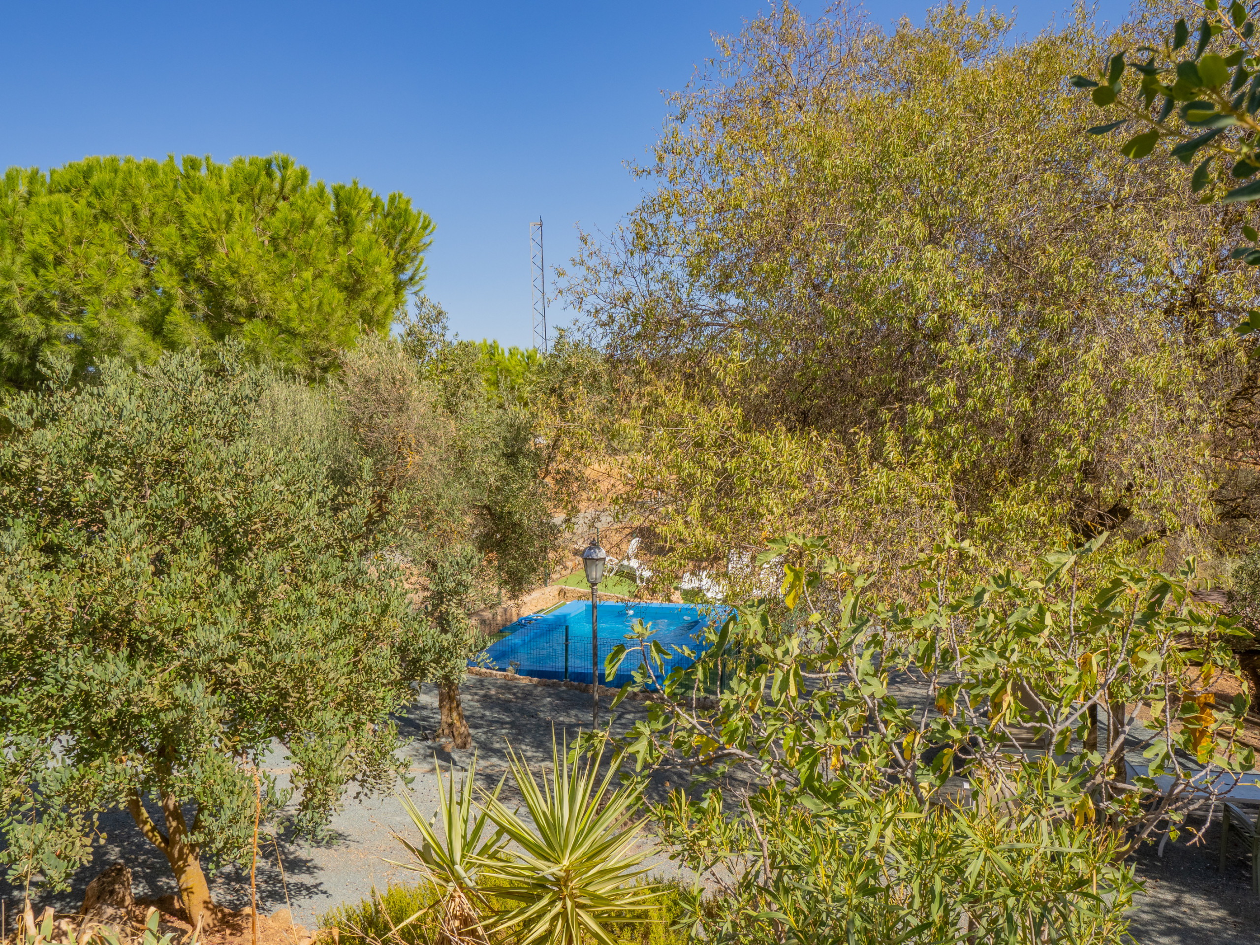 Rent Rural House in  Cubo's Cortijo El Perezon picture-3