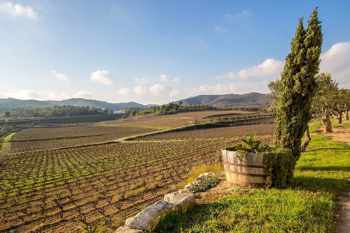 Location Villa à La Bisbal del Penedès Cristina Mas Llagostera/La Bisbal photo-44