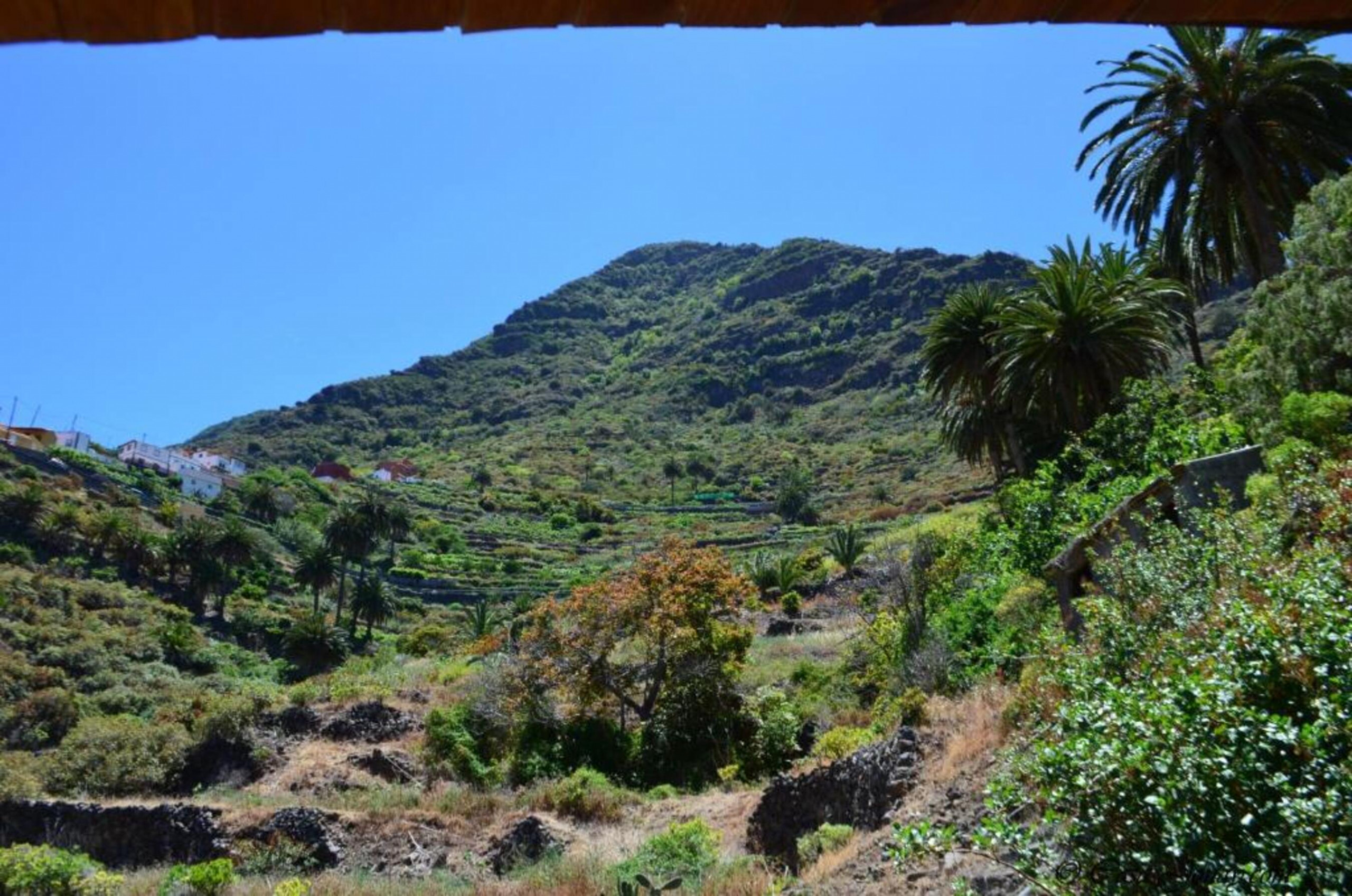 Landhaus in Hermigua buchen Casa rural cu Wifi y estupenda vista a la montaña Bild-1