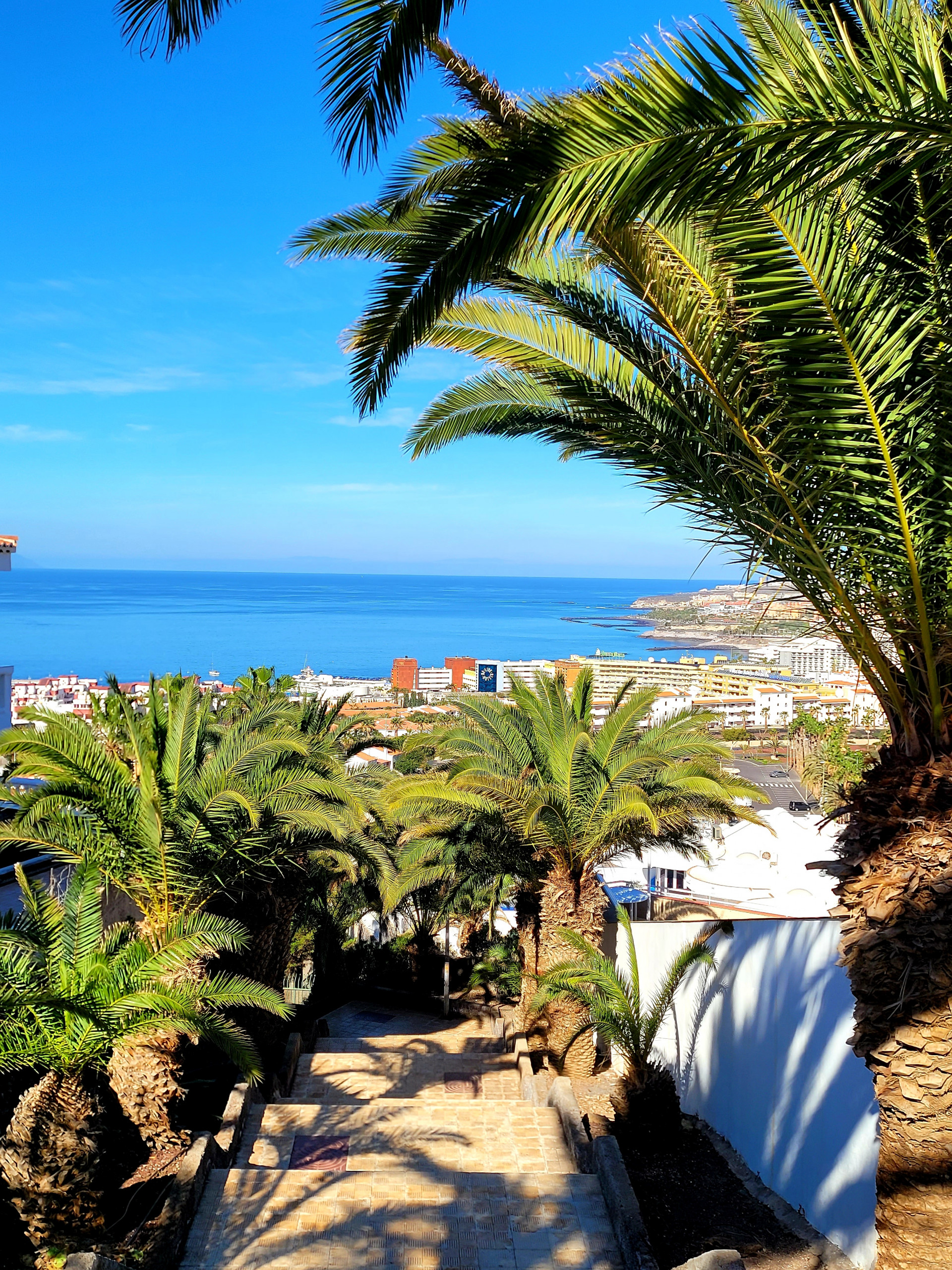 Ferienhaus in Costa Adeje buchen Ferienhaus El Musgo mit Meerblick und Pool Bild-0