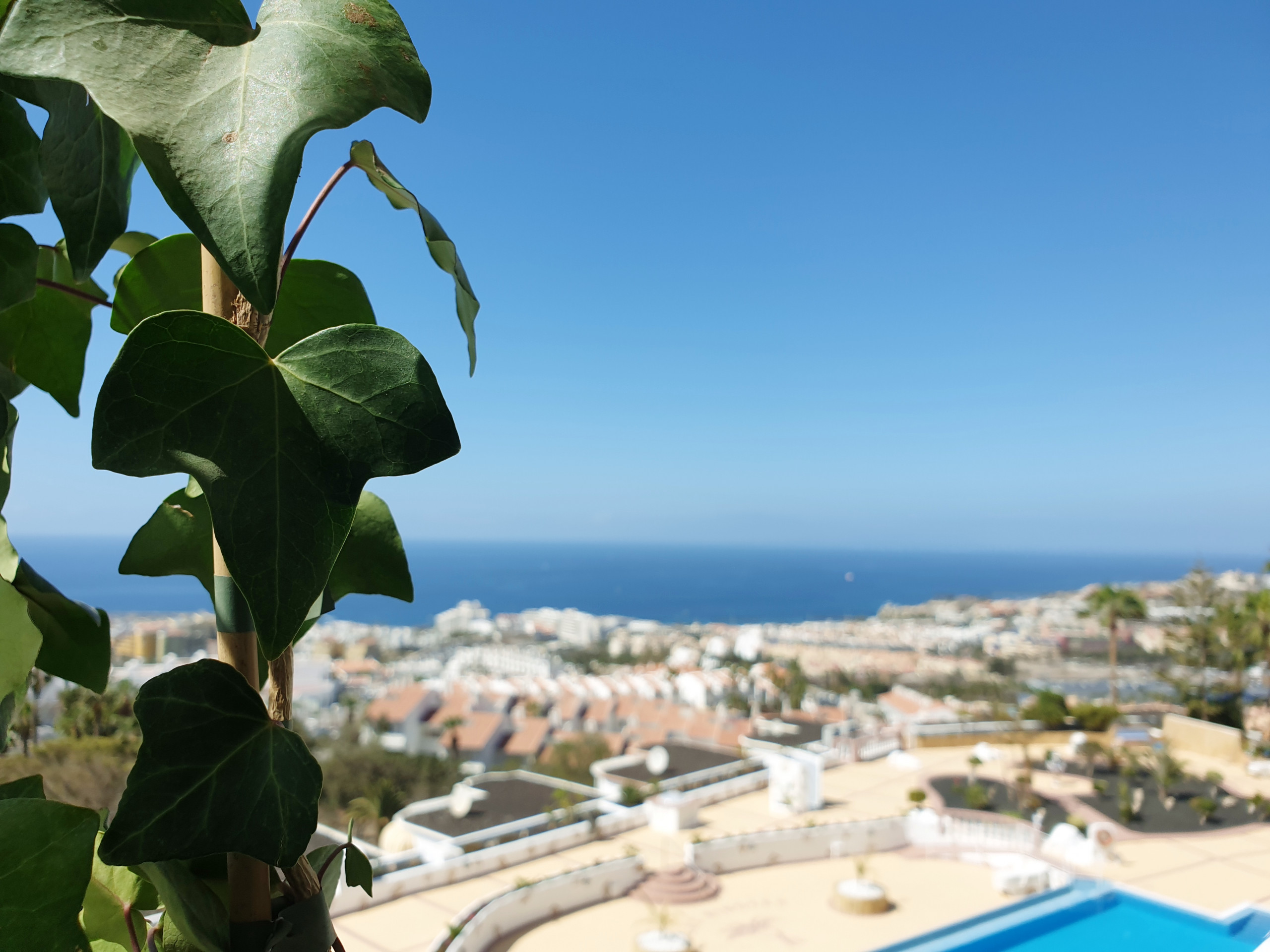 Rent Apartment in Costa Adeje Sea View Apartment Mimosas - Costa Adeje picture-1