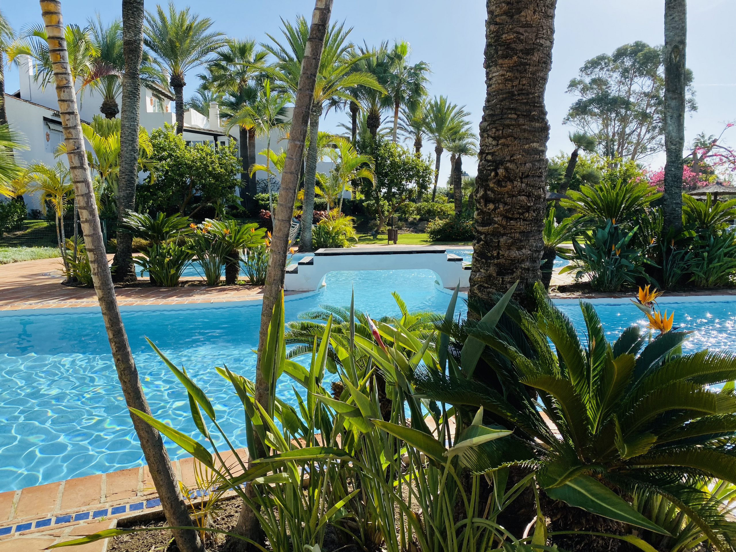 Halfvrijstaand huis in Estepona buchen 2 - Grande townhouse proche de la mer à Costalita Bild-59