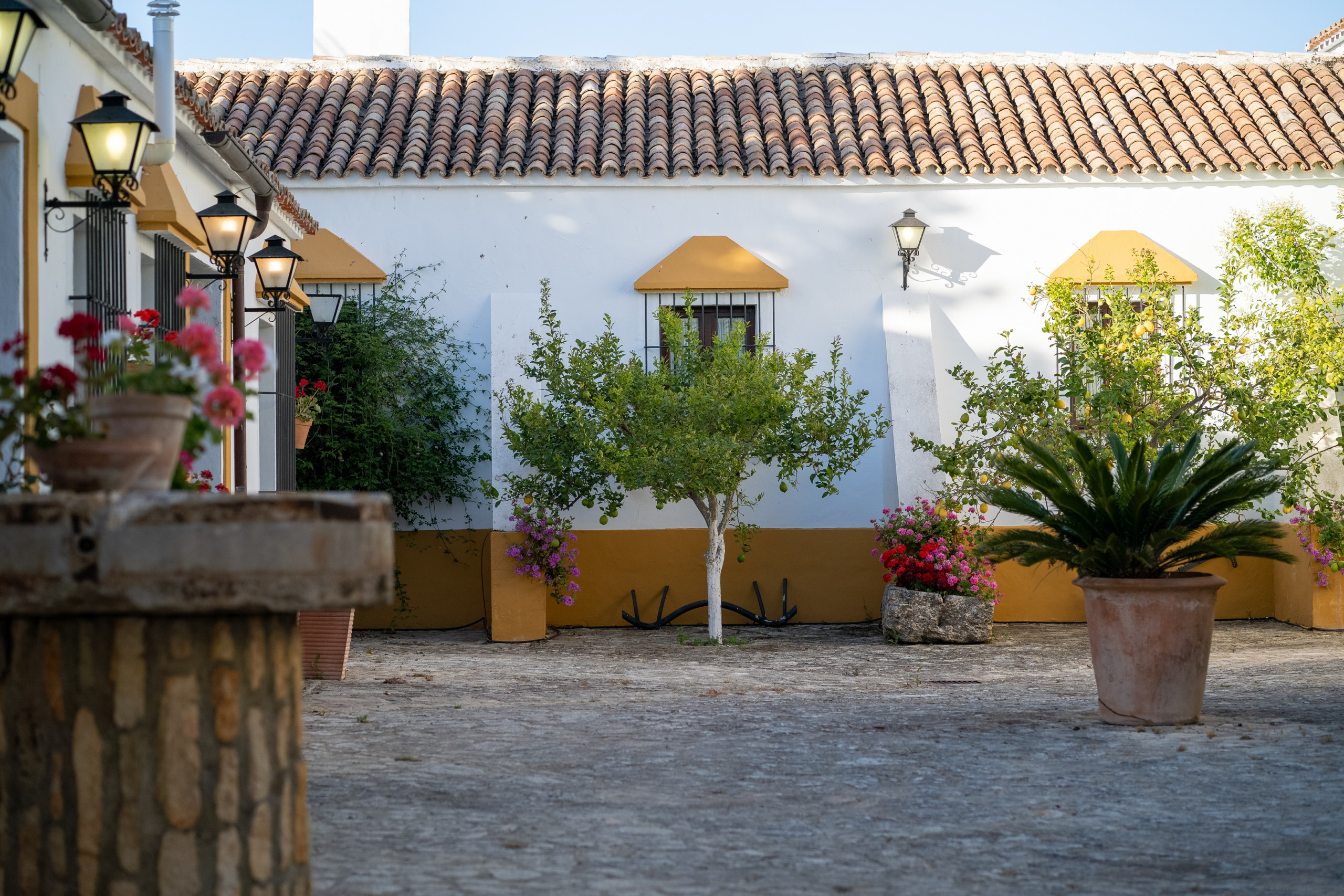 Landhaus in  buchen Cubo's Hacienda El Baldio Bild-6