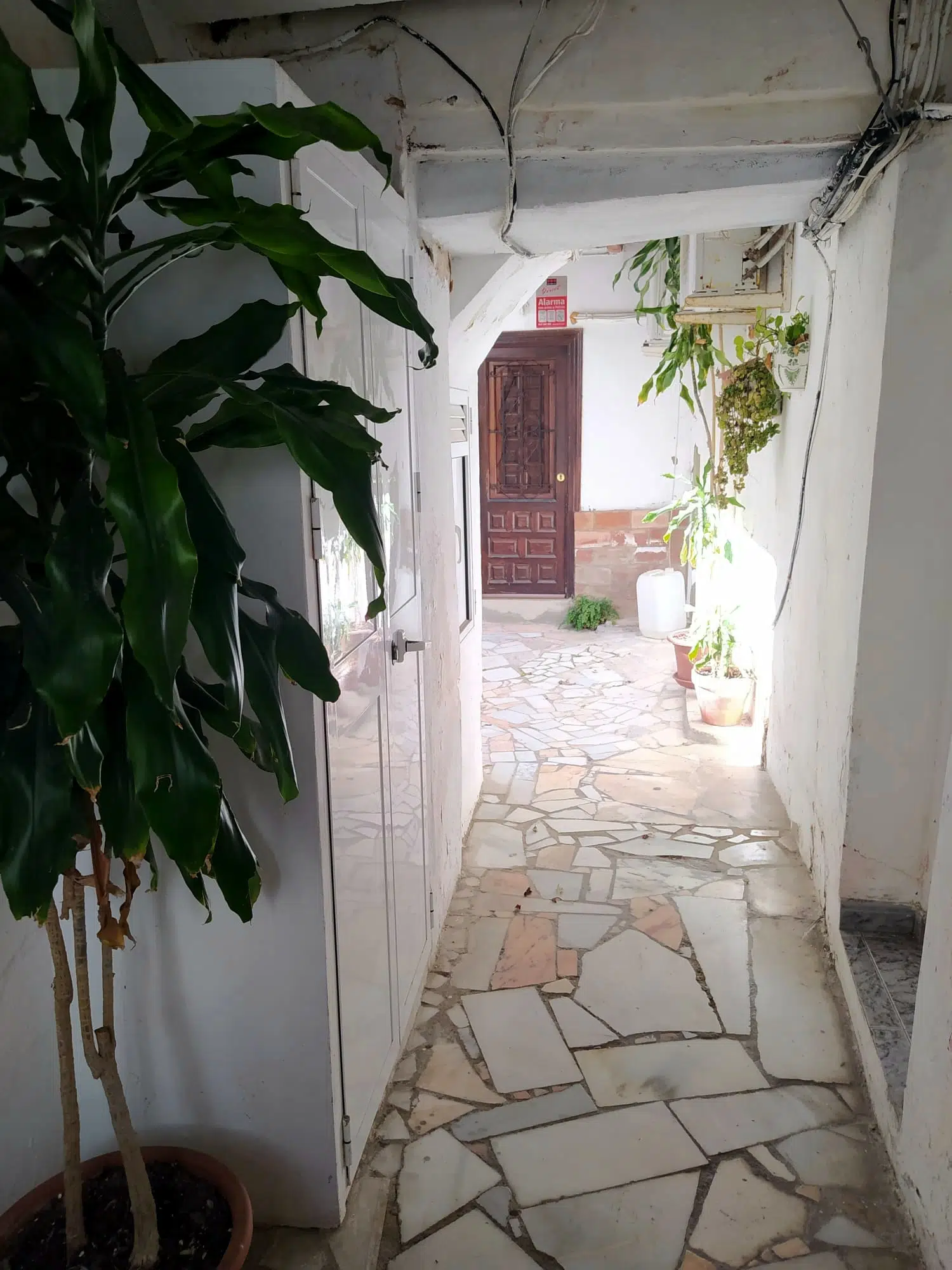 Alquilar Apartamento en Tarifa 113 Livingtarifa Amapola imagen-17