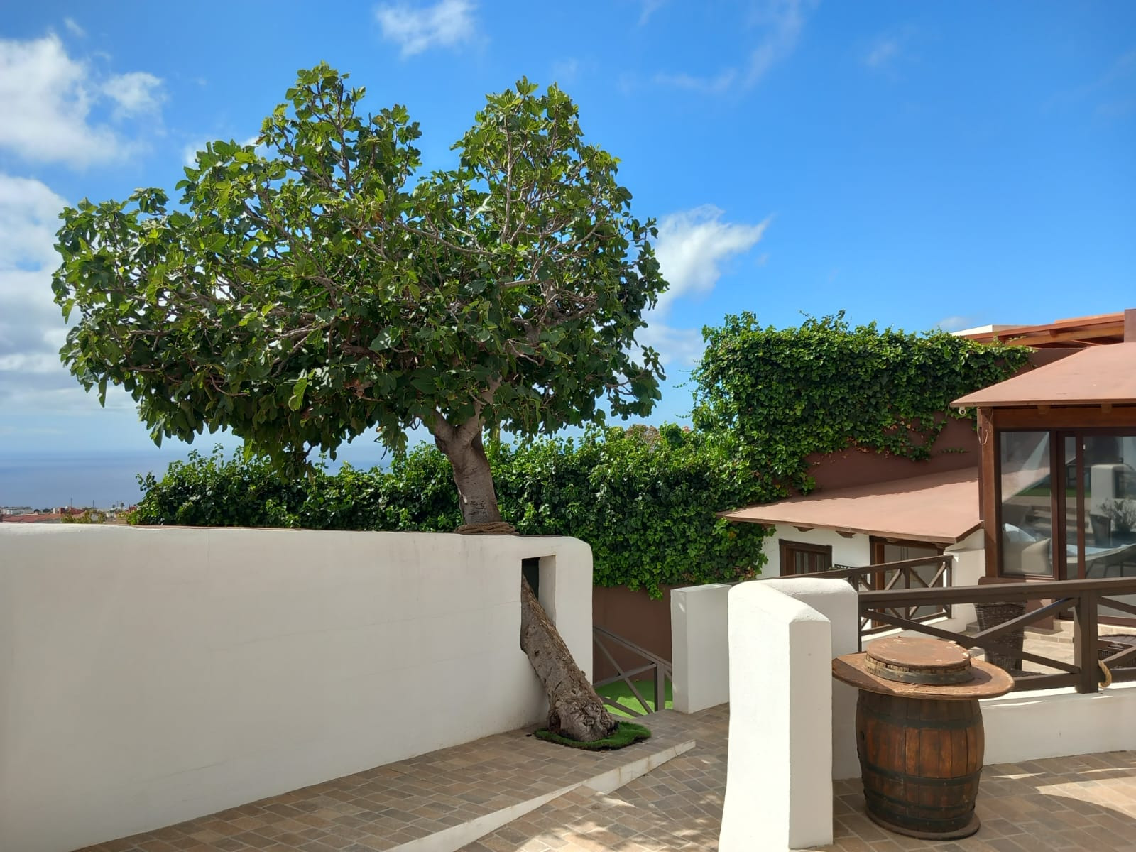 Ferienwohnung in Santa Cruz de Tenerife buchen SUR Loft. Centenillo Bild-10