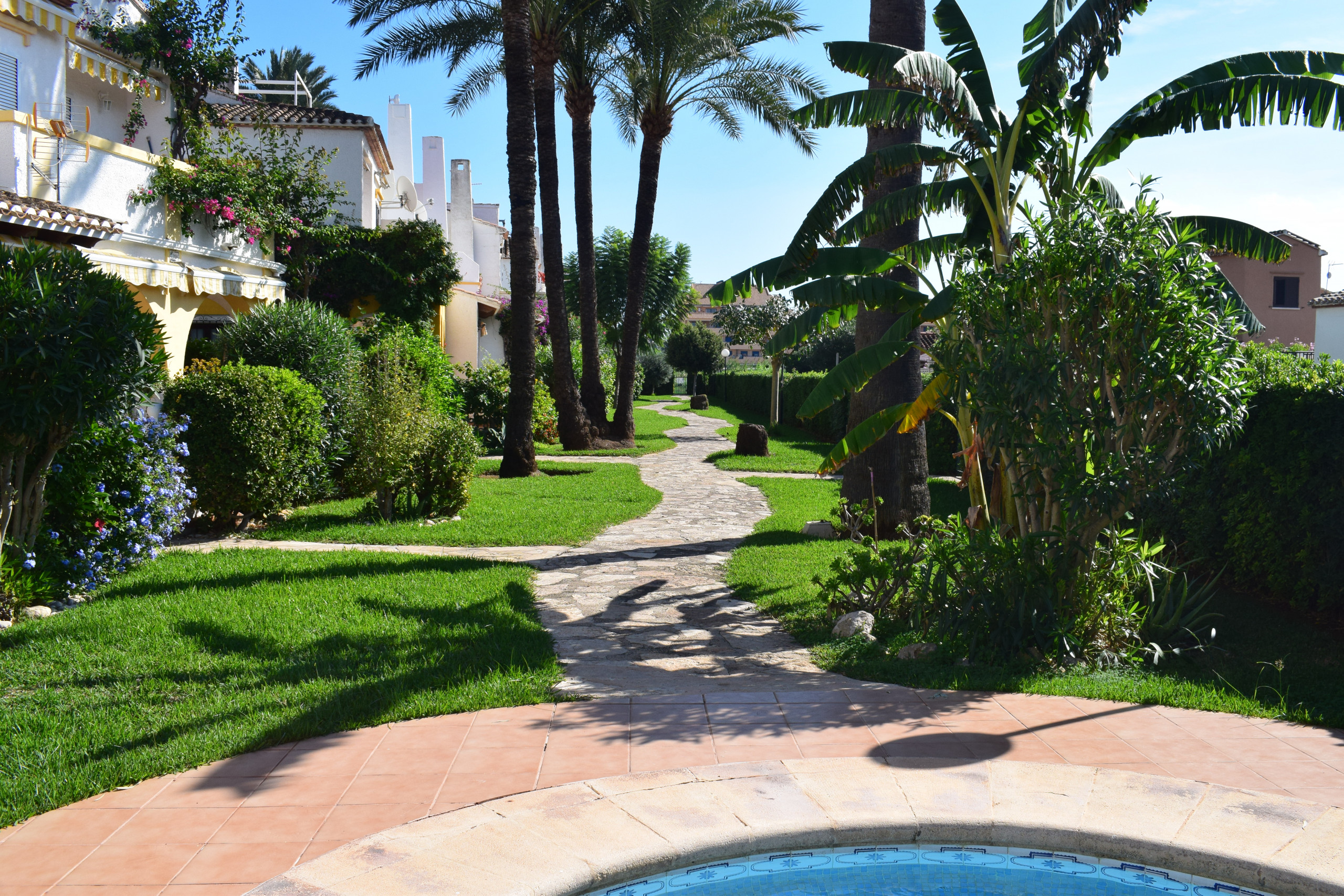 Rent Apartment in Denia PB2105 picture-16