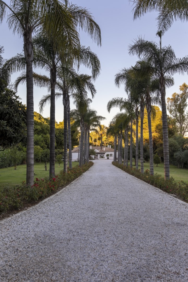 Location Maison rurale à Estepona Cortijo Las Tortugas photo-75