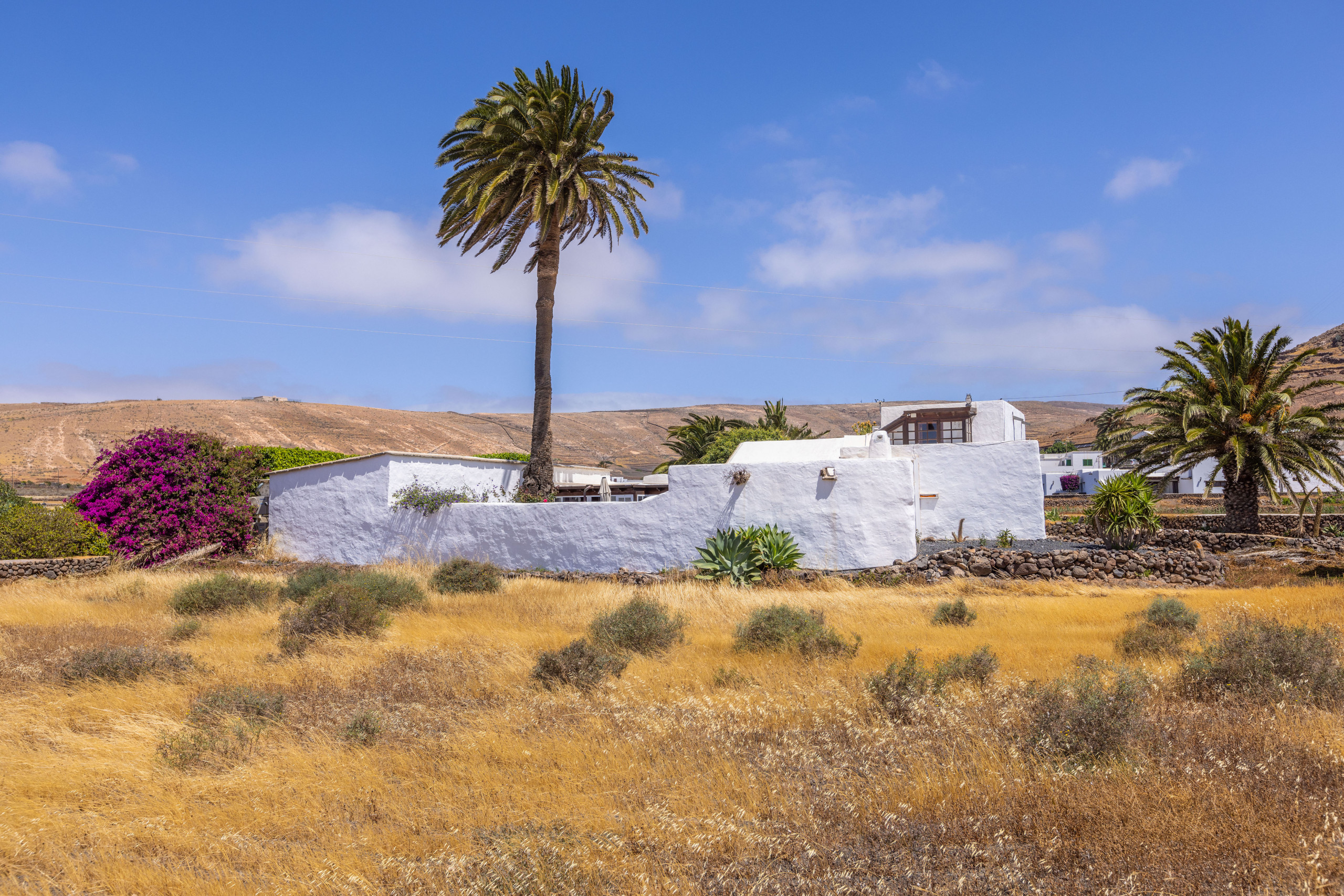 Rent Rural House in Costa Teguise EL BARRANCO picture-54