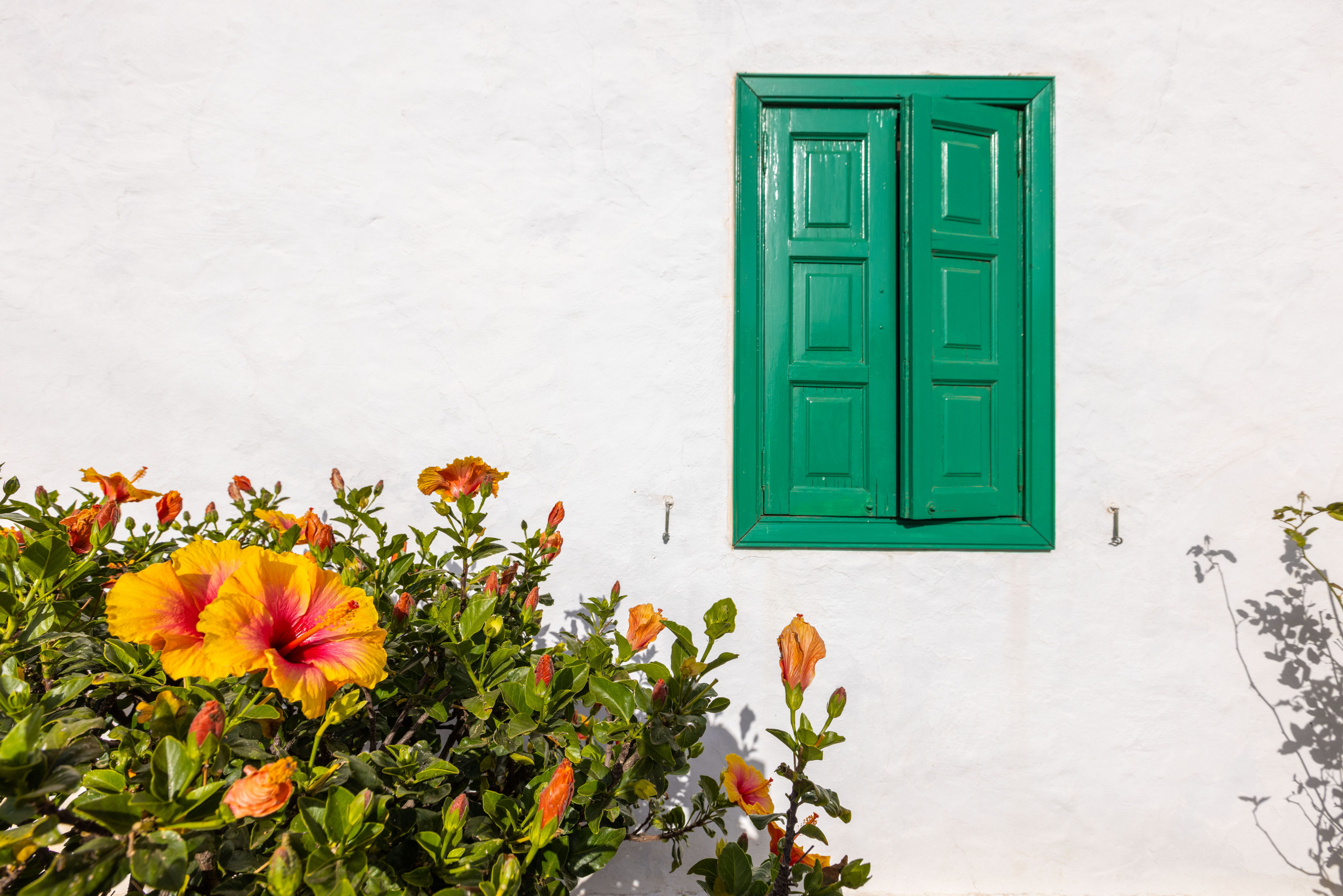 Rent Rural House in Costa Teguise EL BARRANCO picture-10