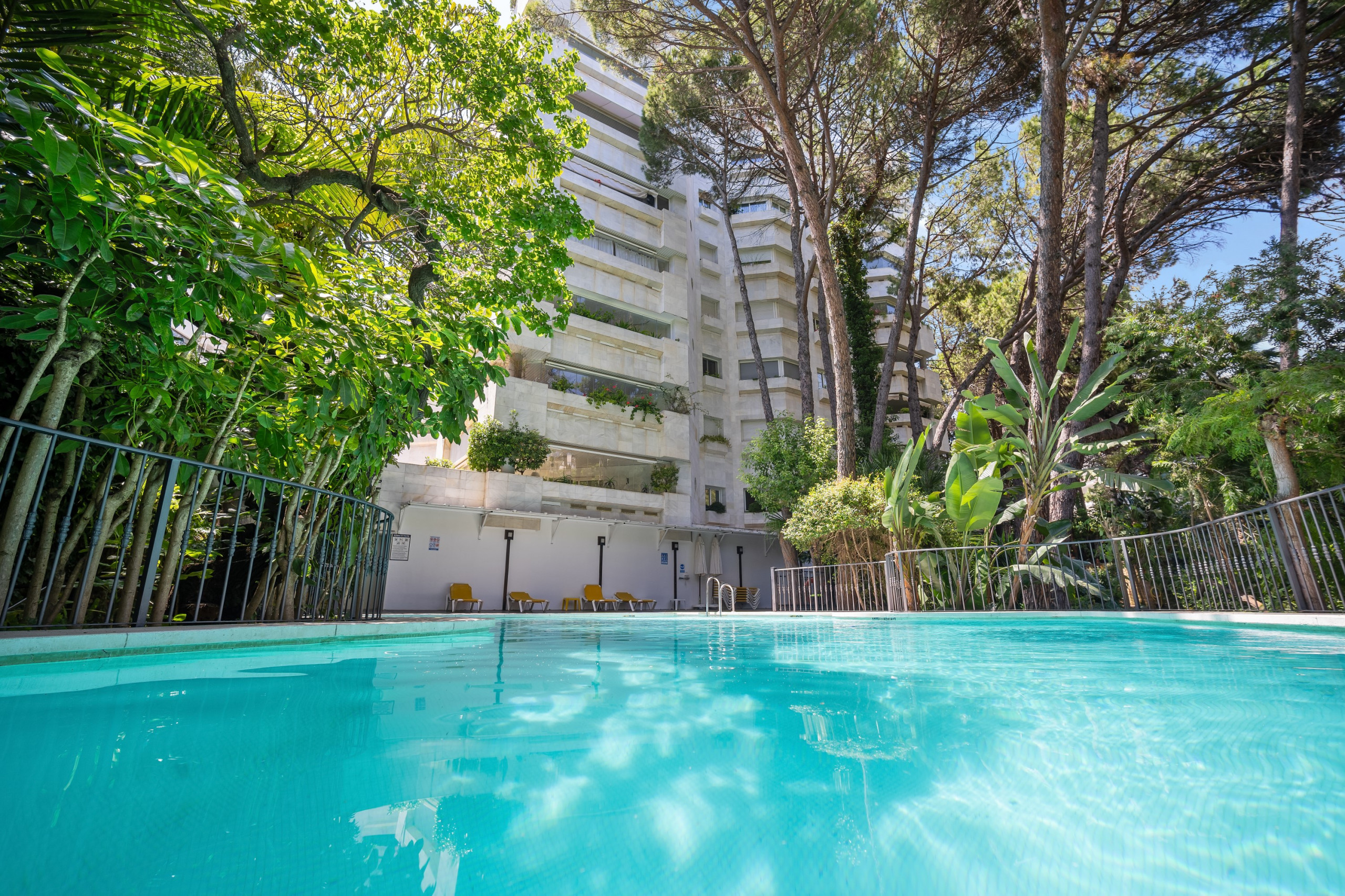 Location Appartement à Marbella Jardín Del Mediterráneo photo-4